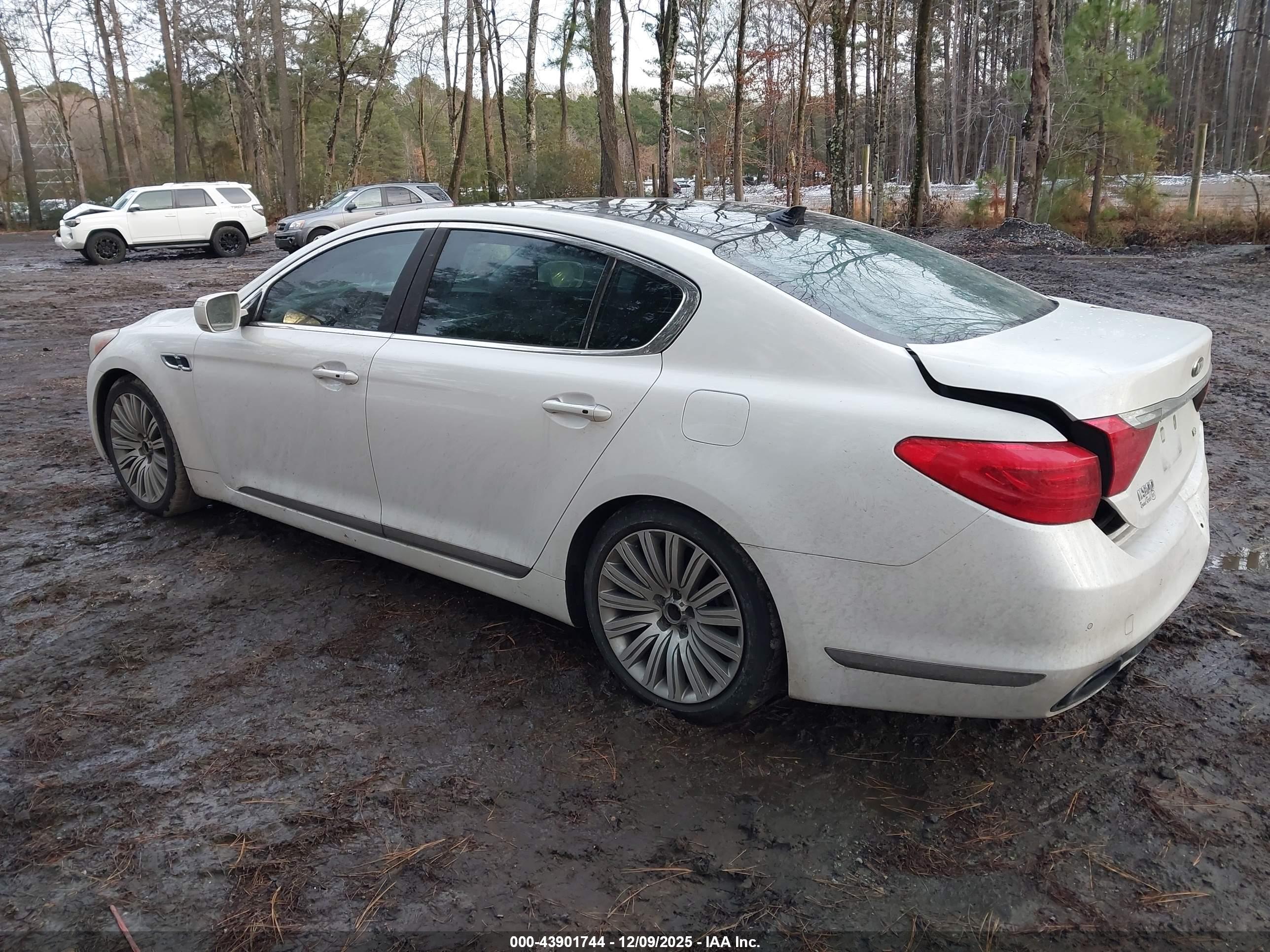 KIA K900 image 3