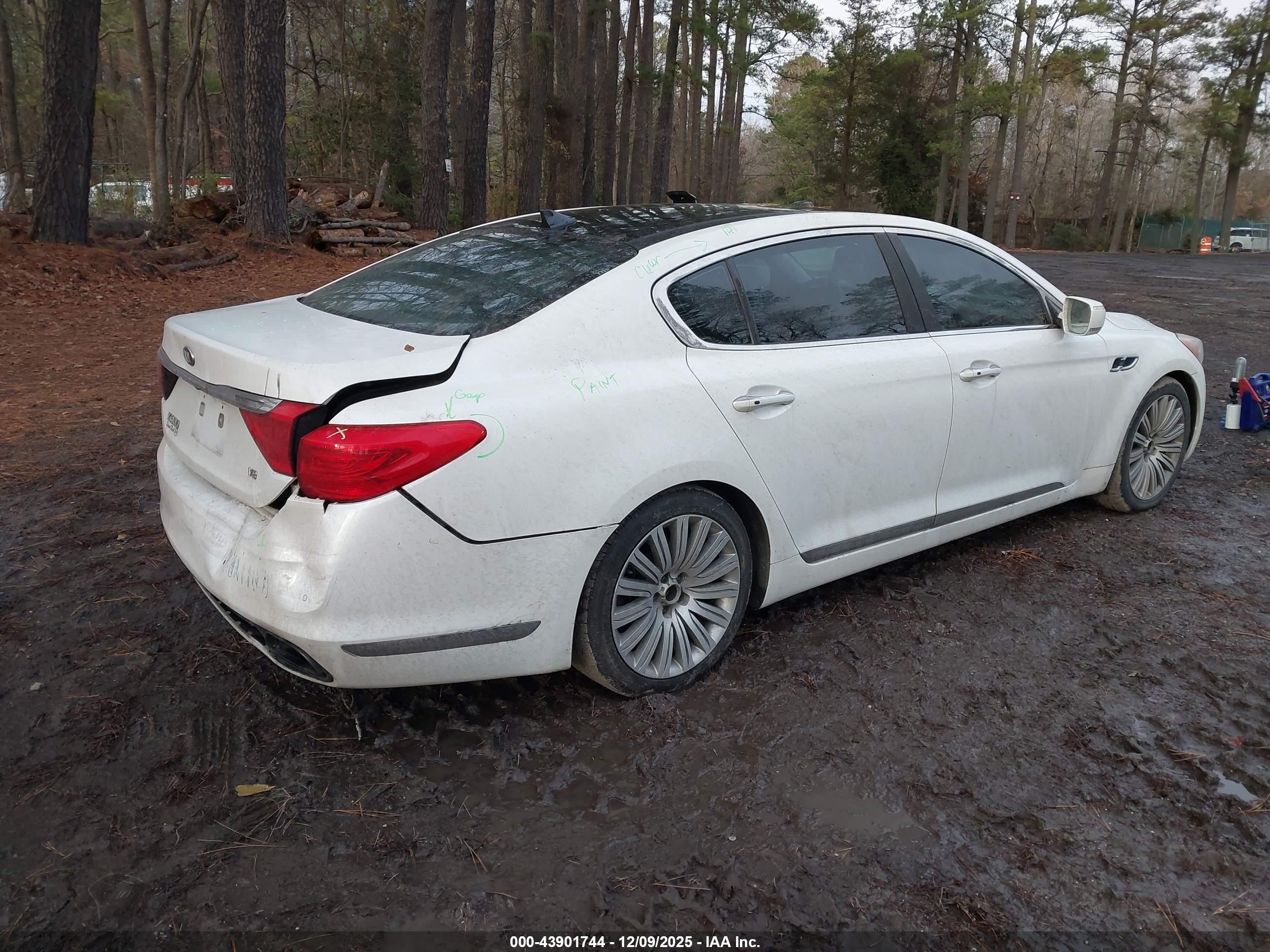 KIA K900 image 4