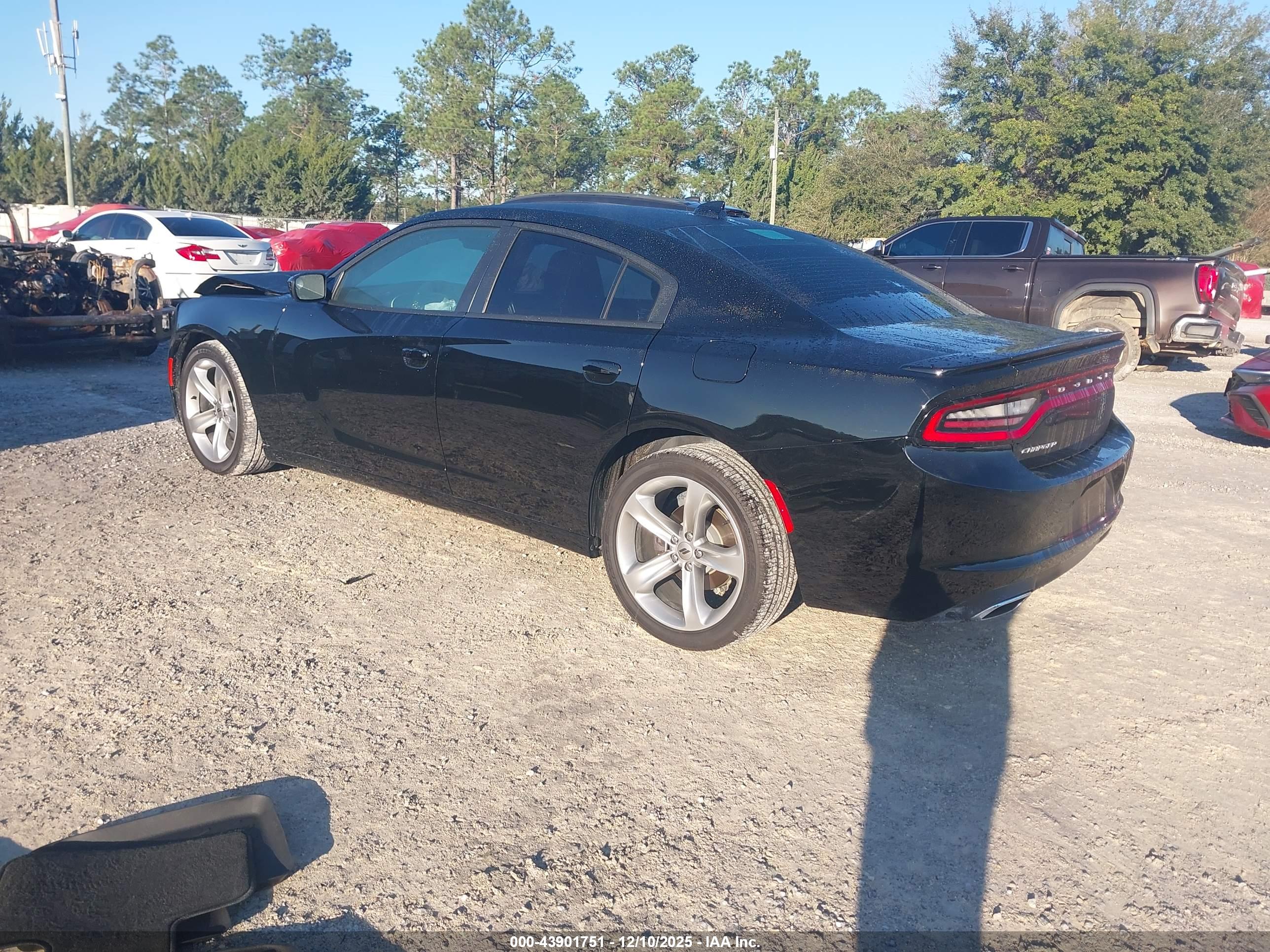 DODGE CHARGER image 3