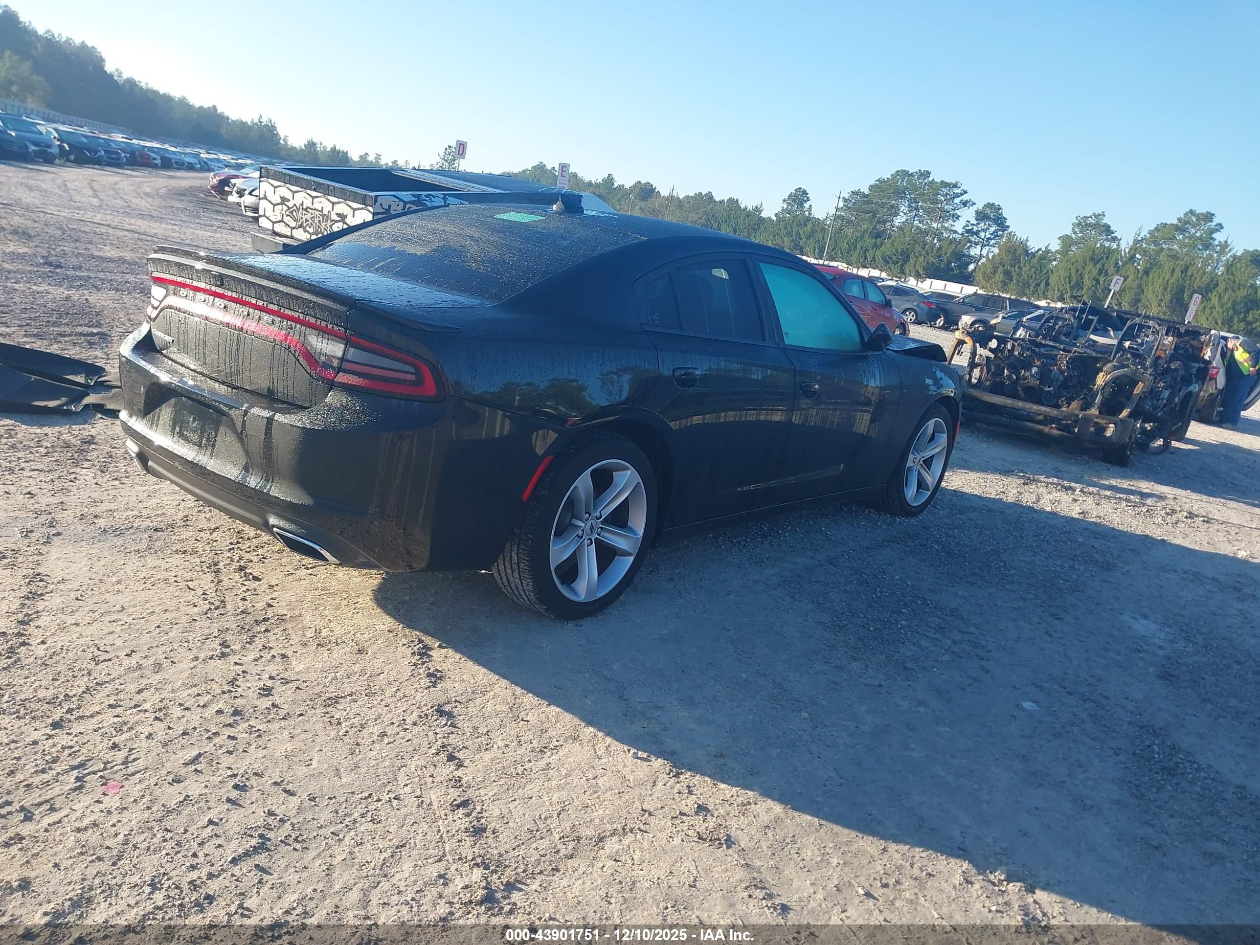 DODGE CHARGER image 4