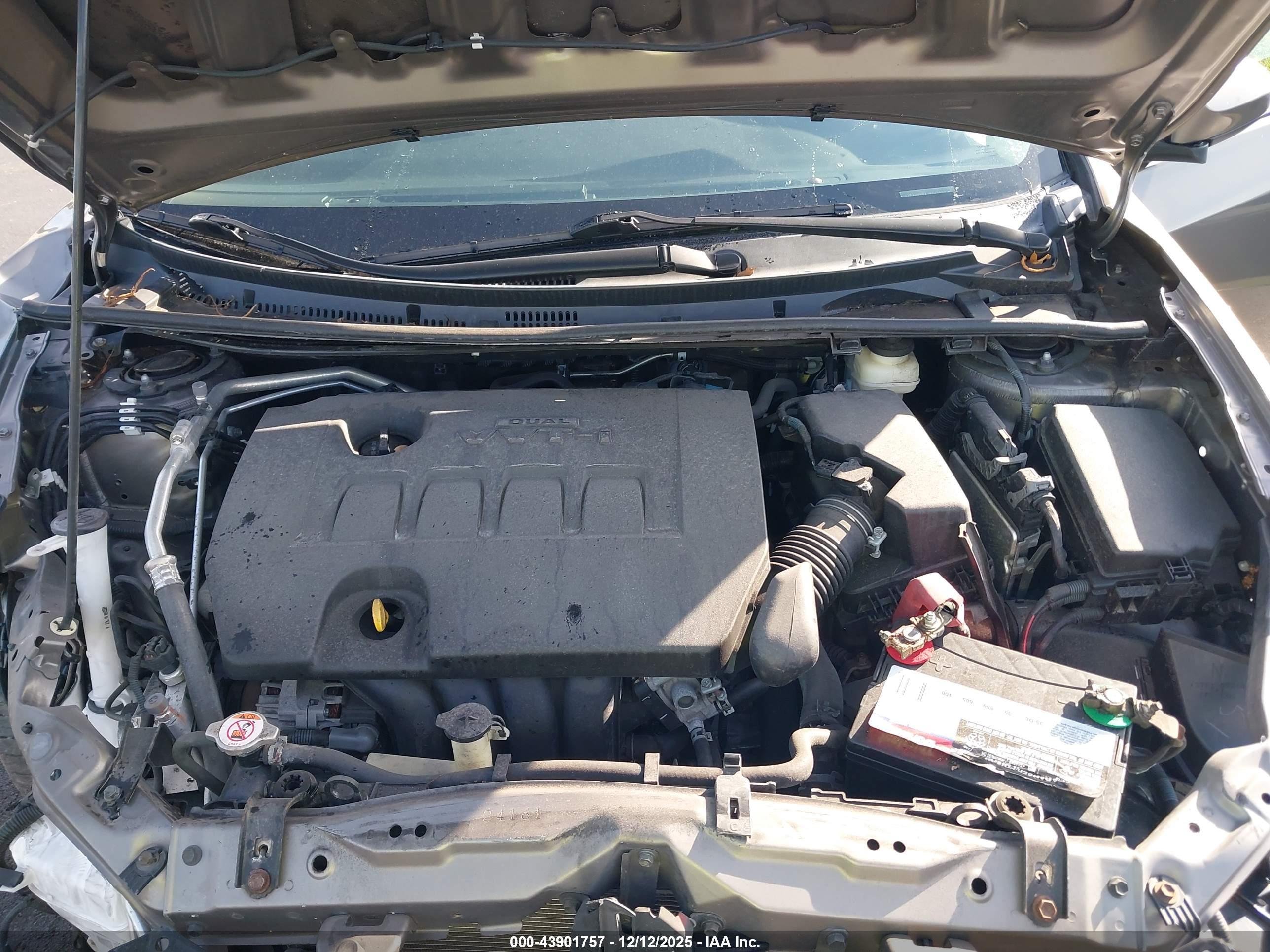 TOYOTA COROLLA image 10