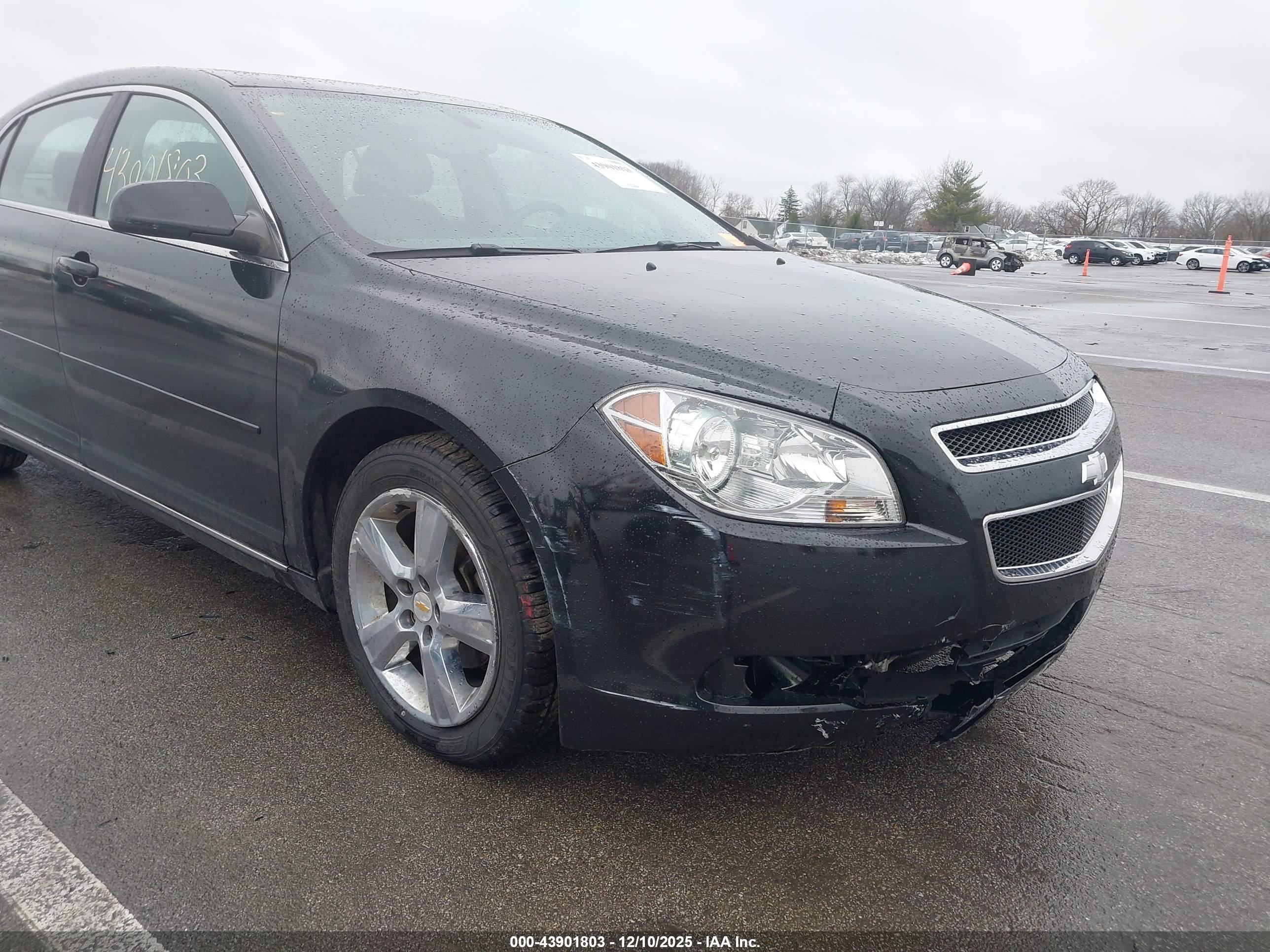 CHEVROLET MALIBU image 6