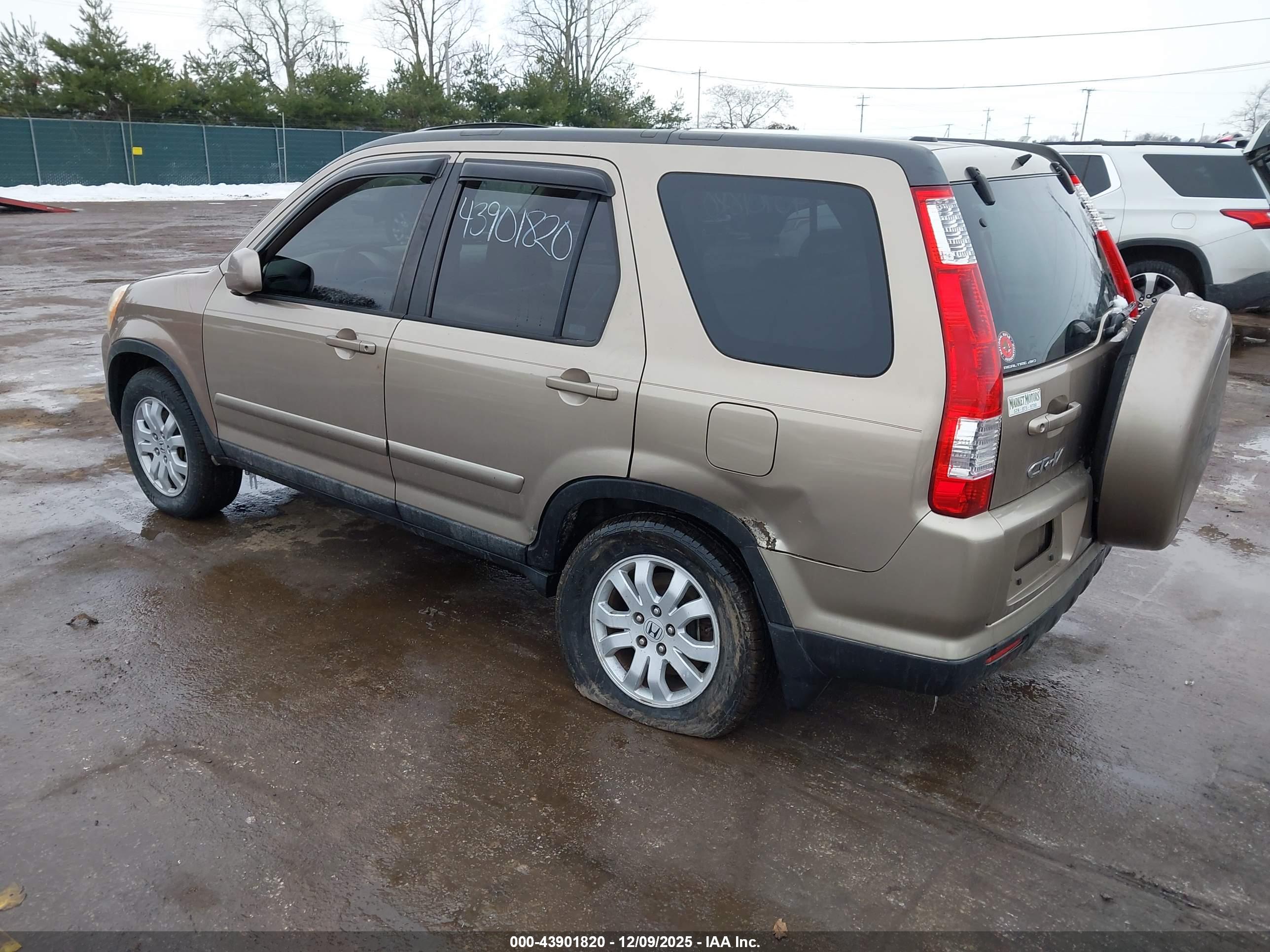 HONDA CR-V image 3