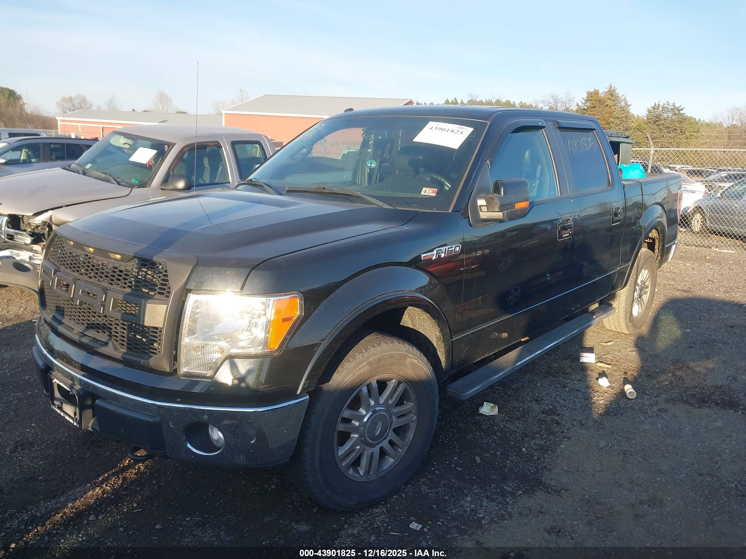 FORD F-150 image 2