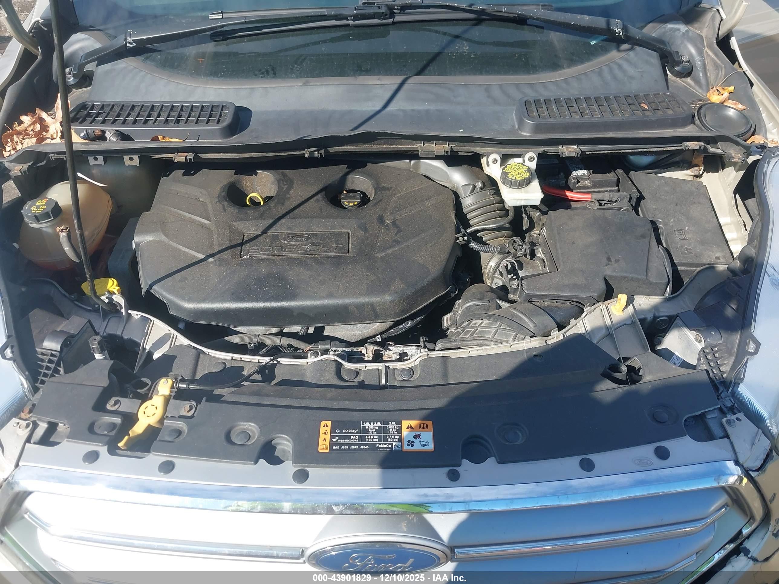 FORD ESCAPE image 10