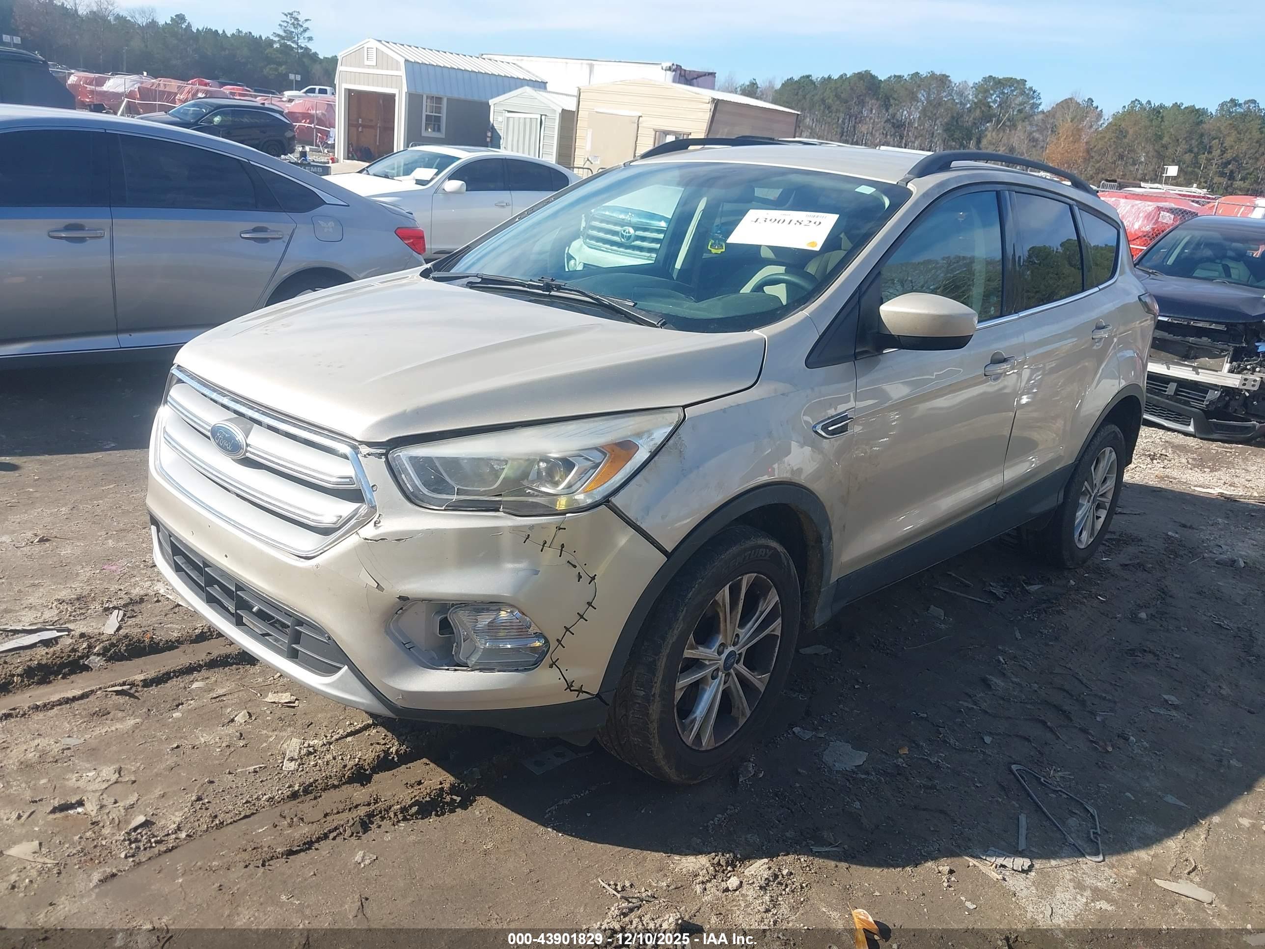 FORD ESCAPE image 2