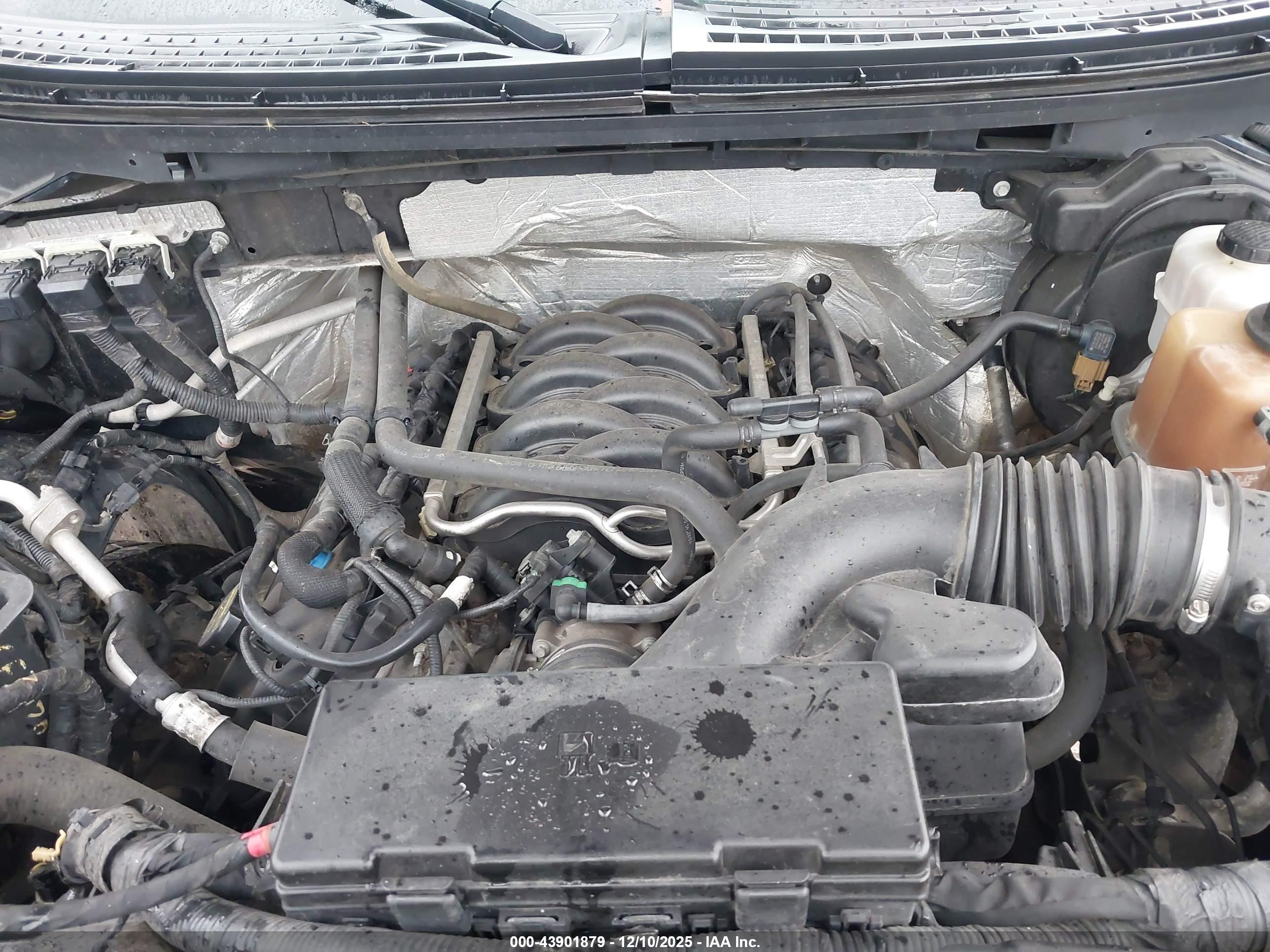 FORD F-150 image 10