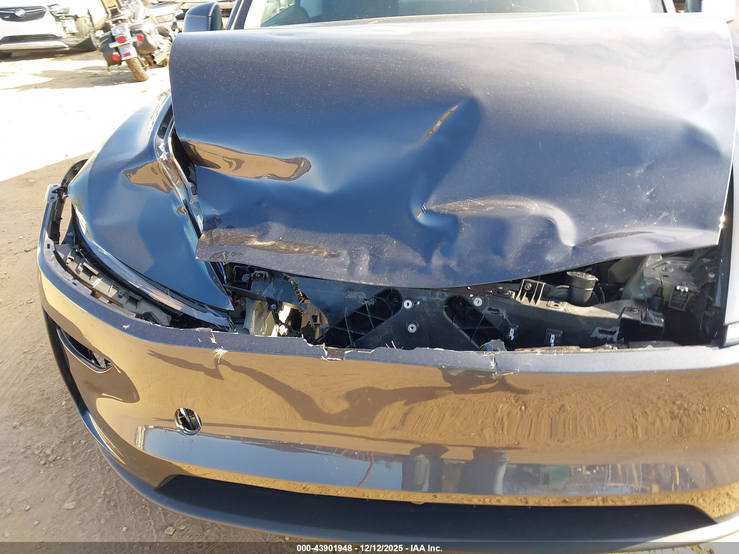 TESLA MODEL image 6