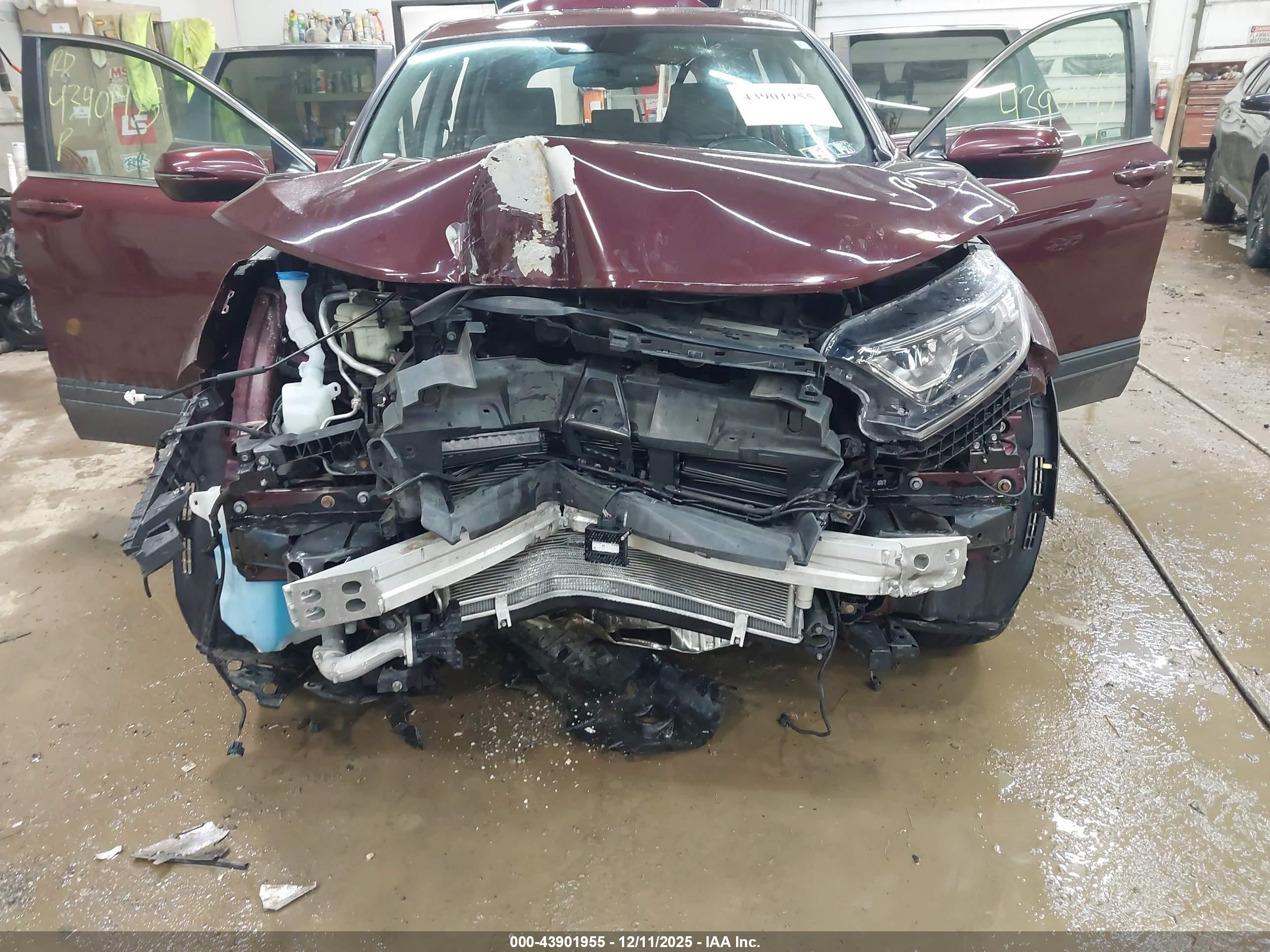 HONDA CR-V image 6