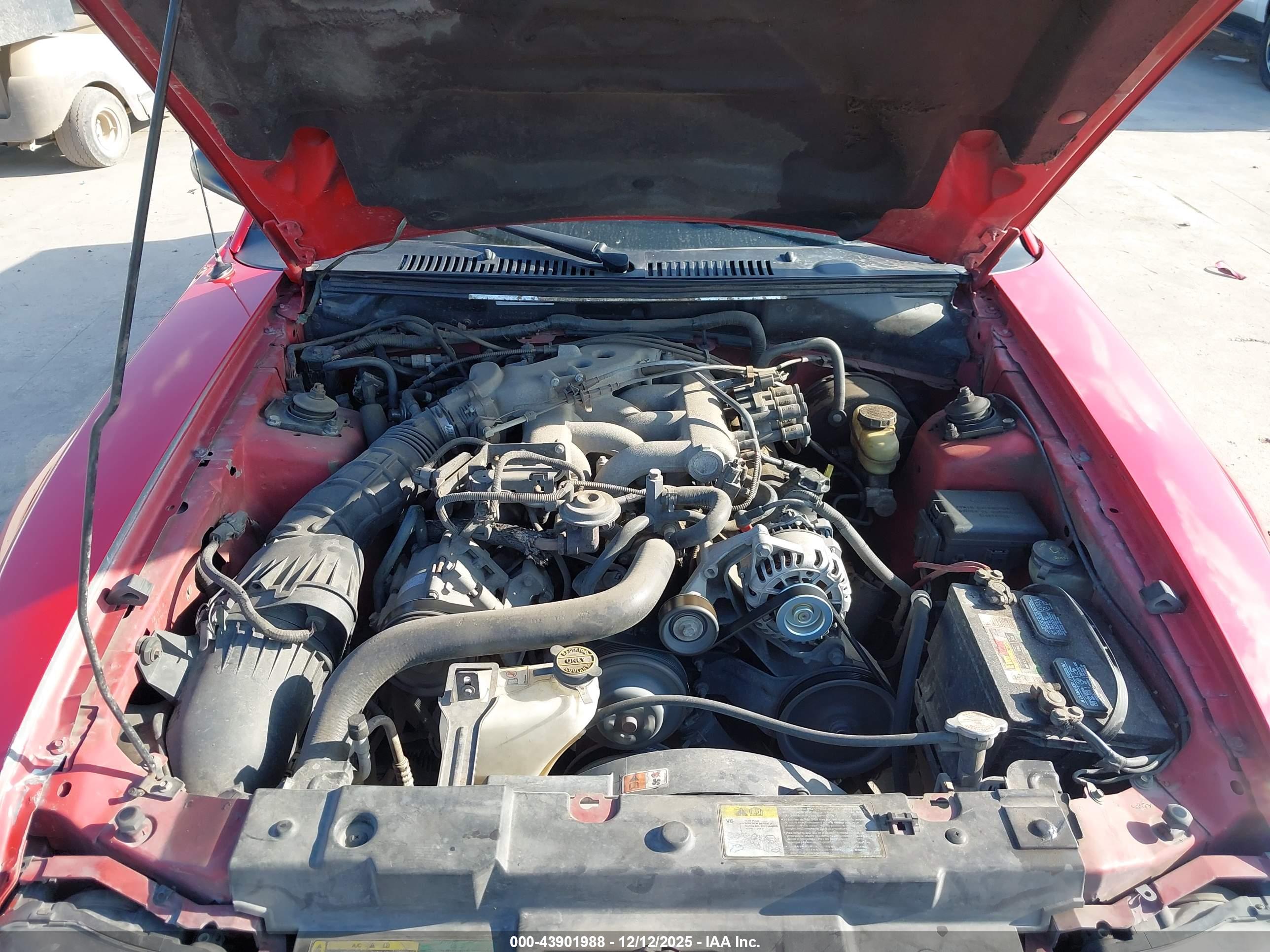FORD MUSTANG image 10