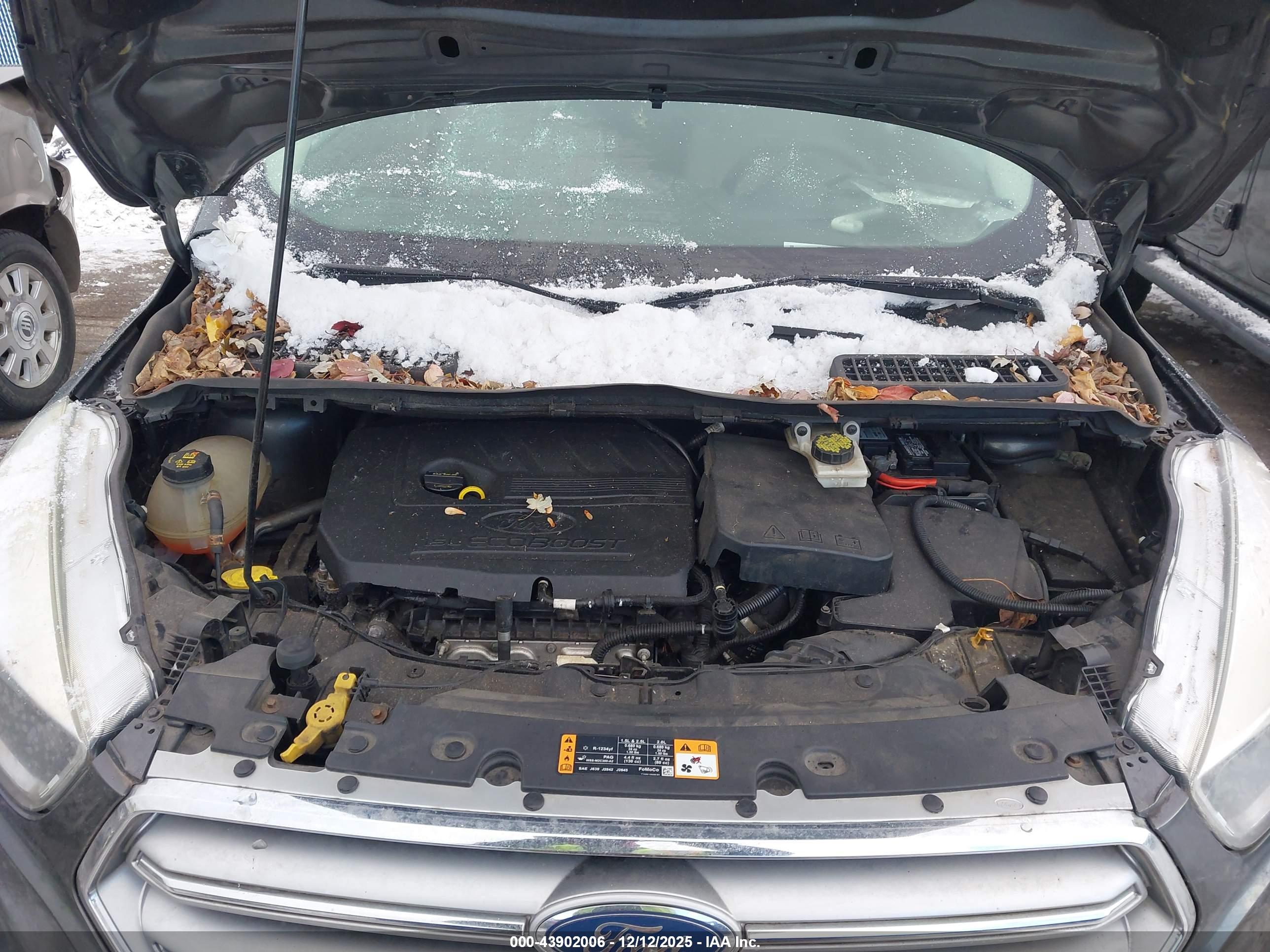 FORD ESCAPE image 10