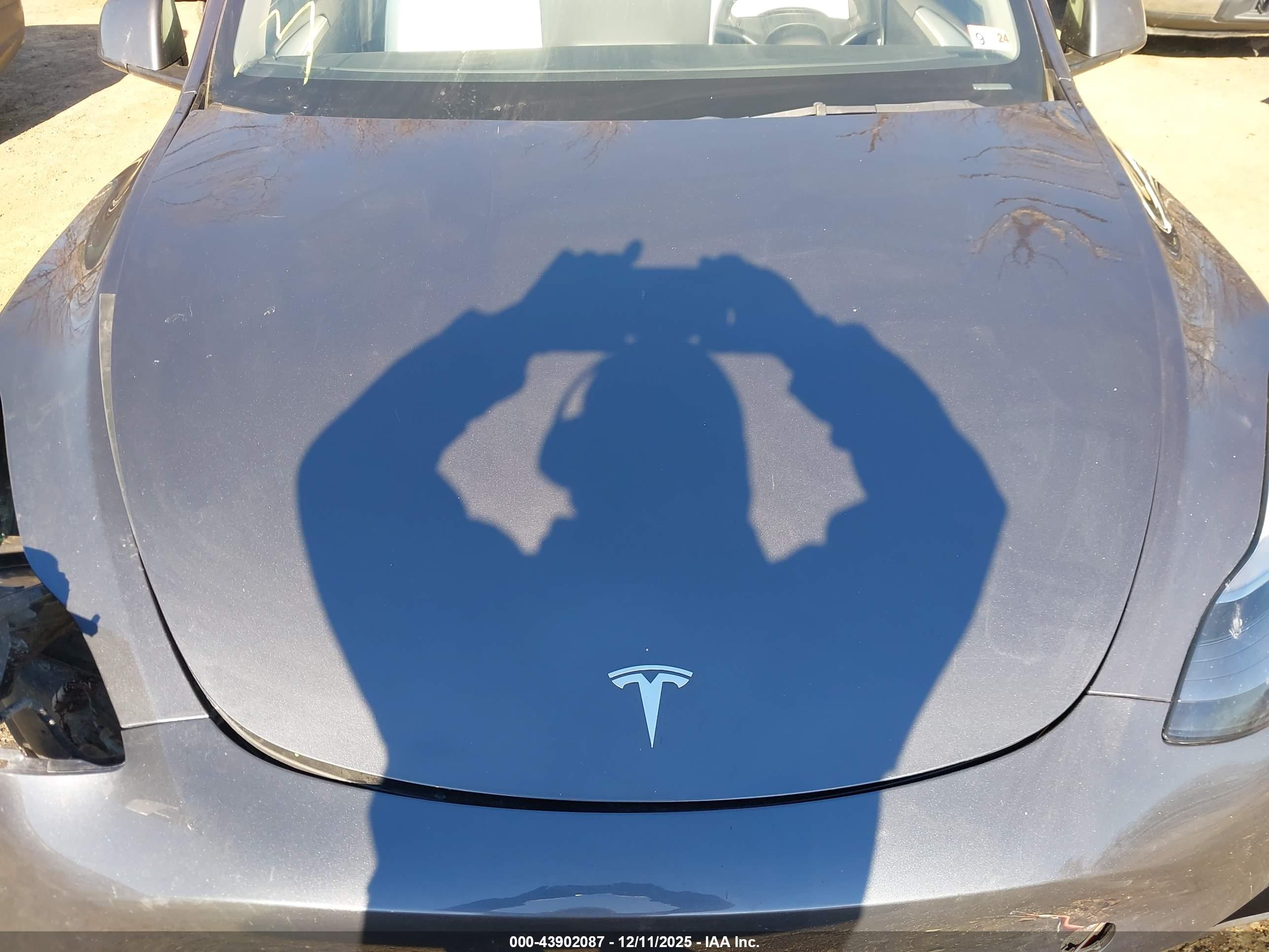 TESLA MODEL image 10