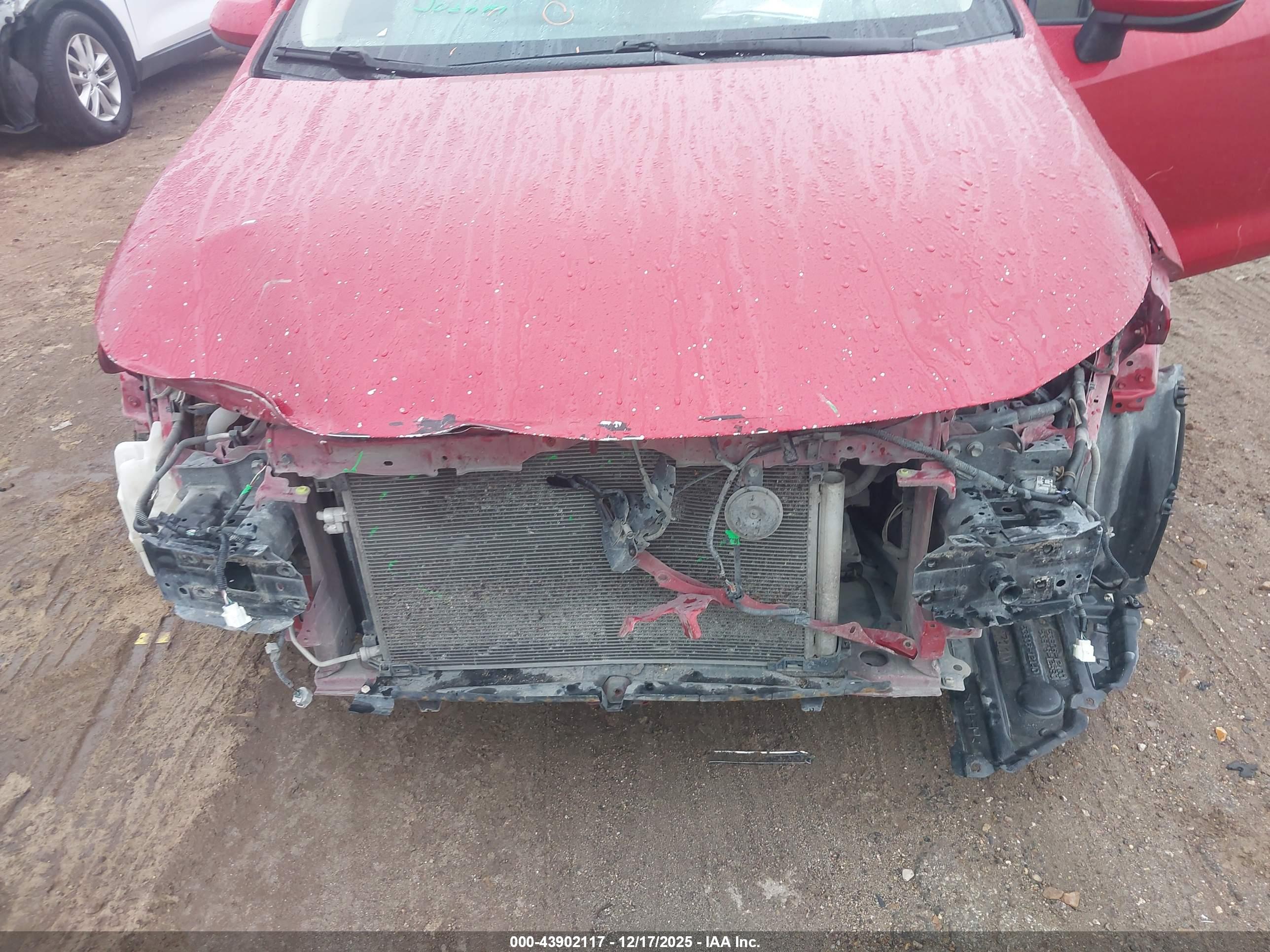 TOYOTA COROLLA image 6