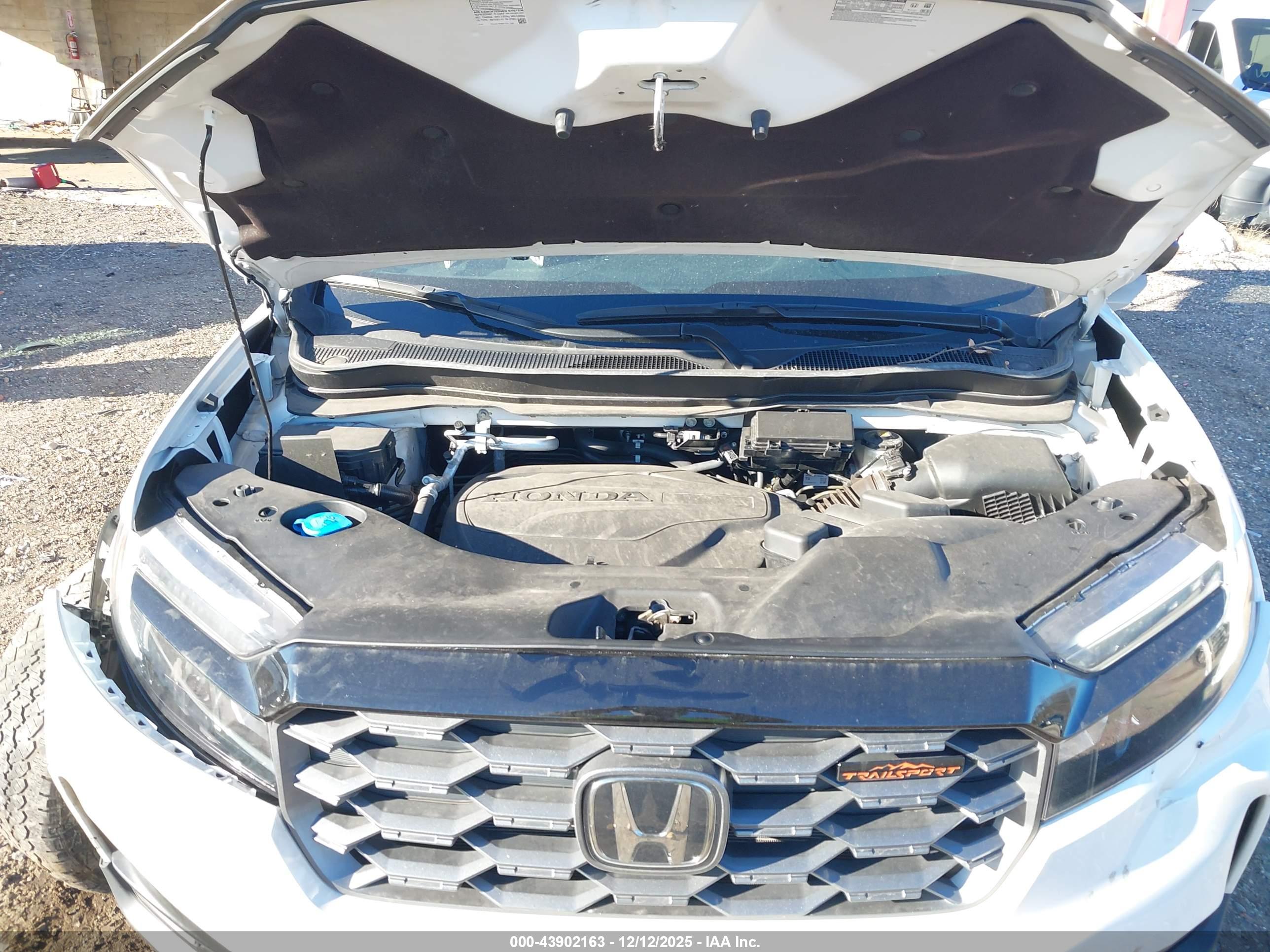 HONDA PASSPORT image 10