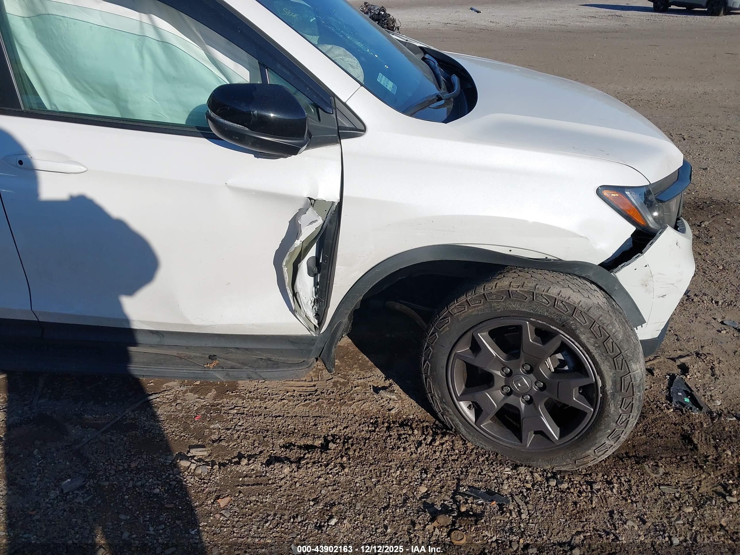 HONDA PASSPORT image 6