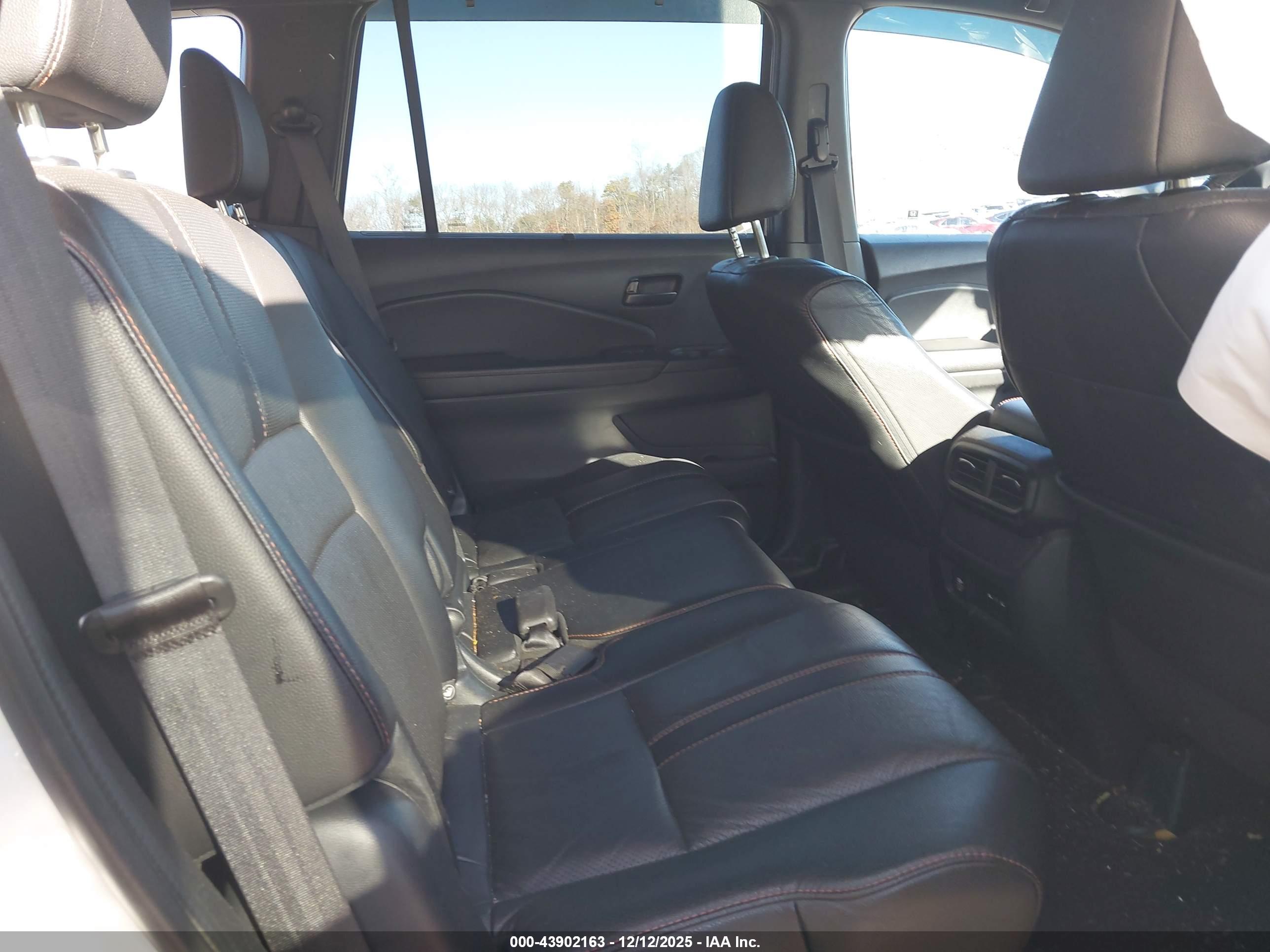 HONDA PASSPORT image 8
