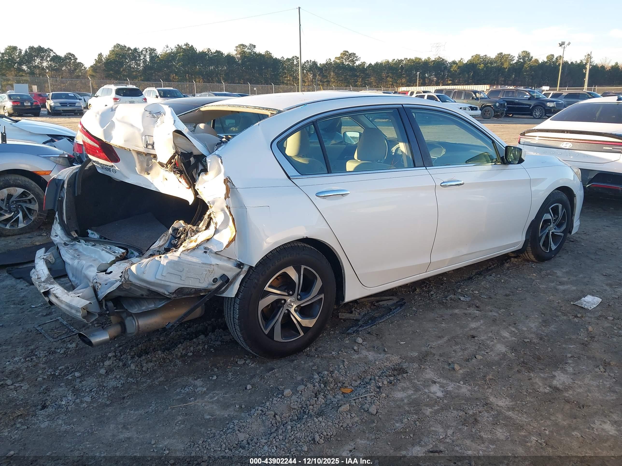 HONDA ACCORD image 4