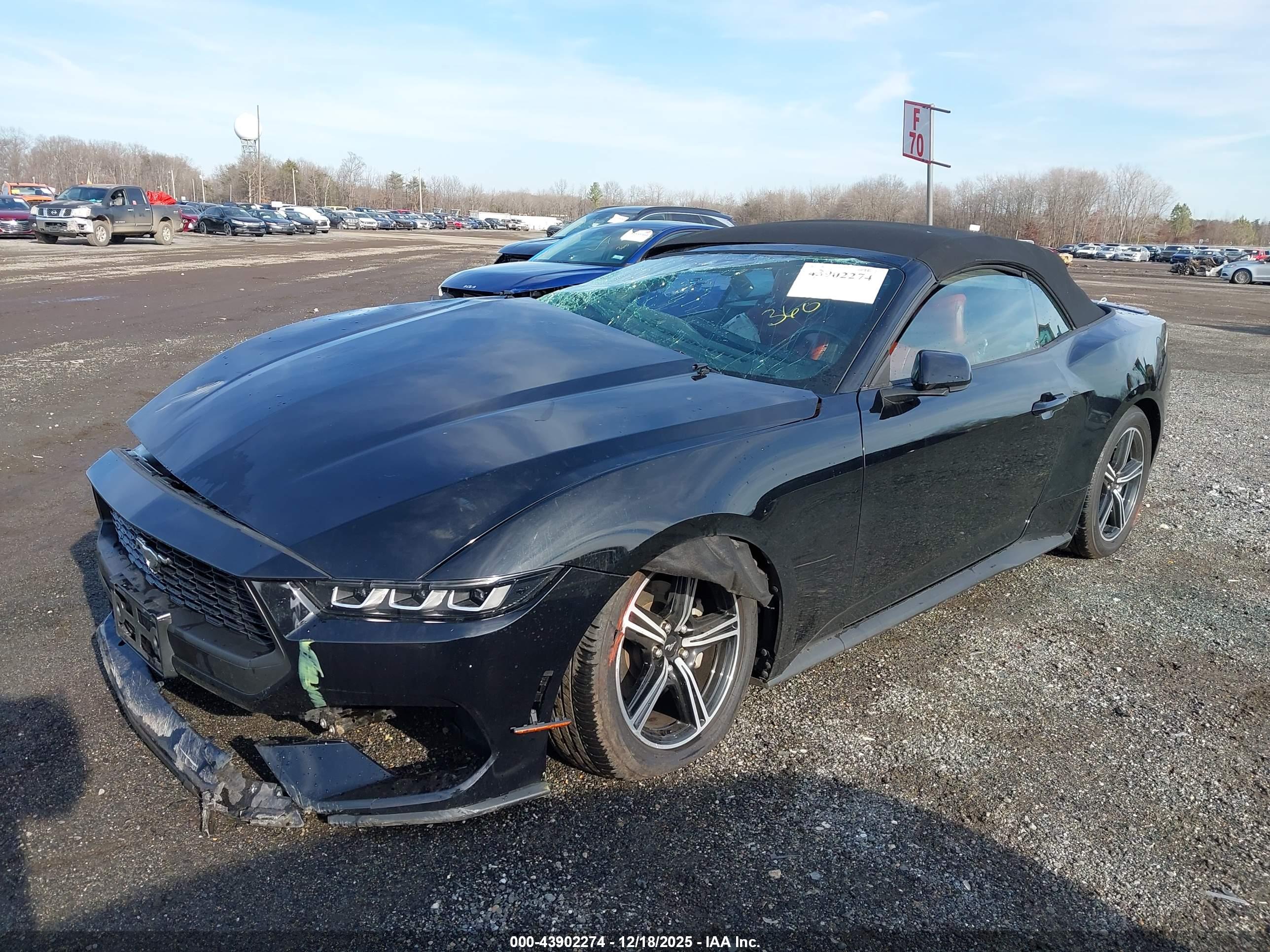 FORD MUSTANG image 2