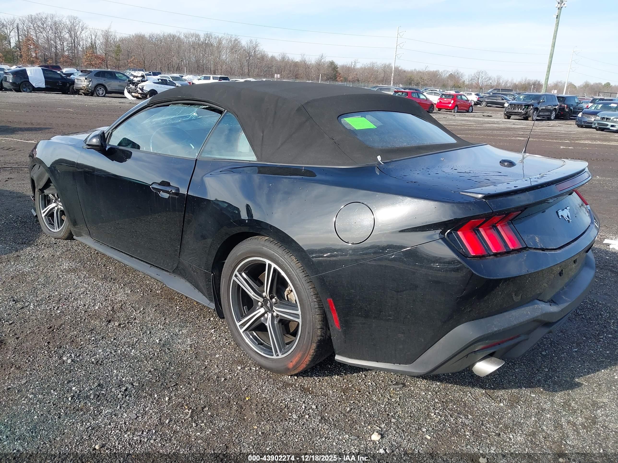 FORD MUSTANG image 3