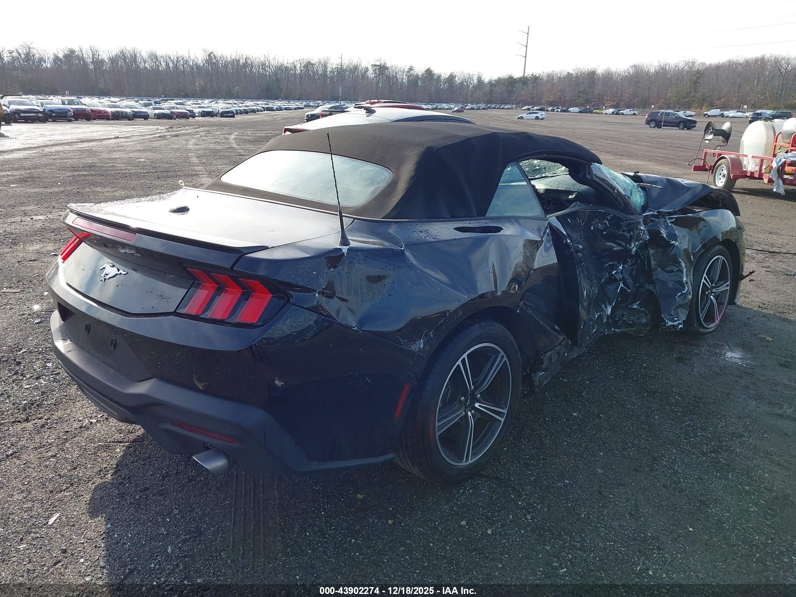FORD MUSTANG image 4