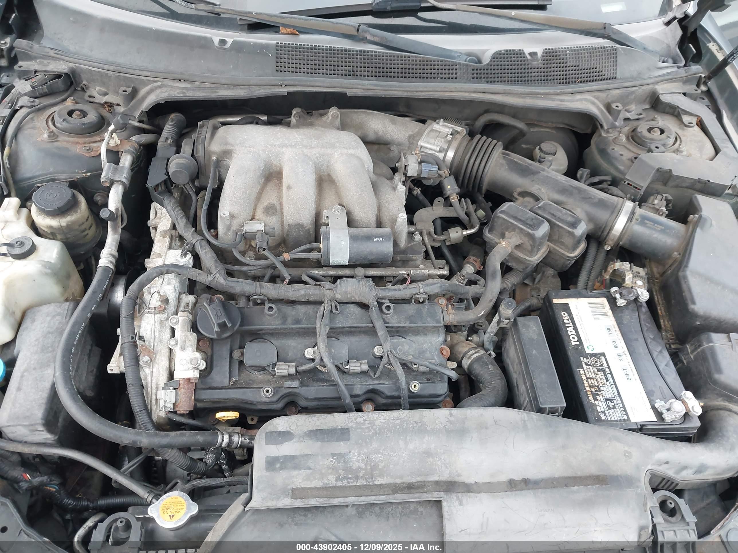 NISSAN MAXIMA image 10