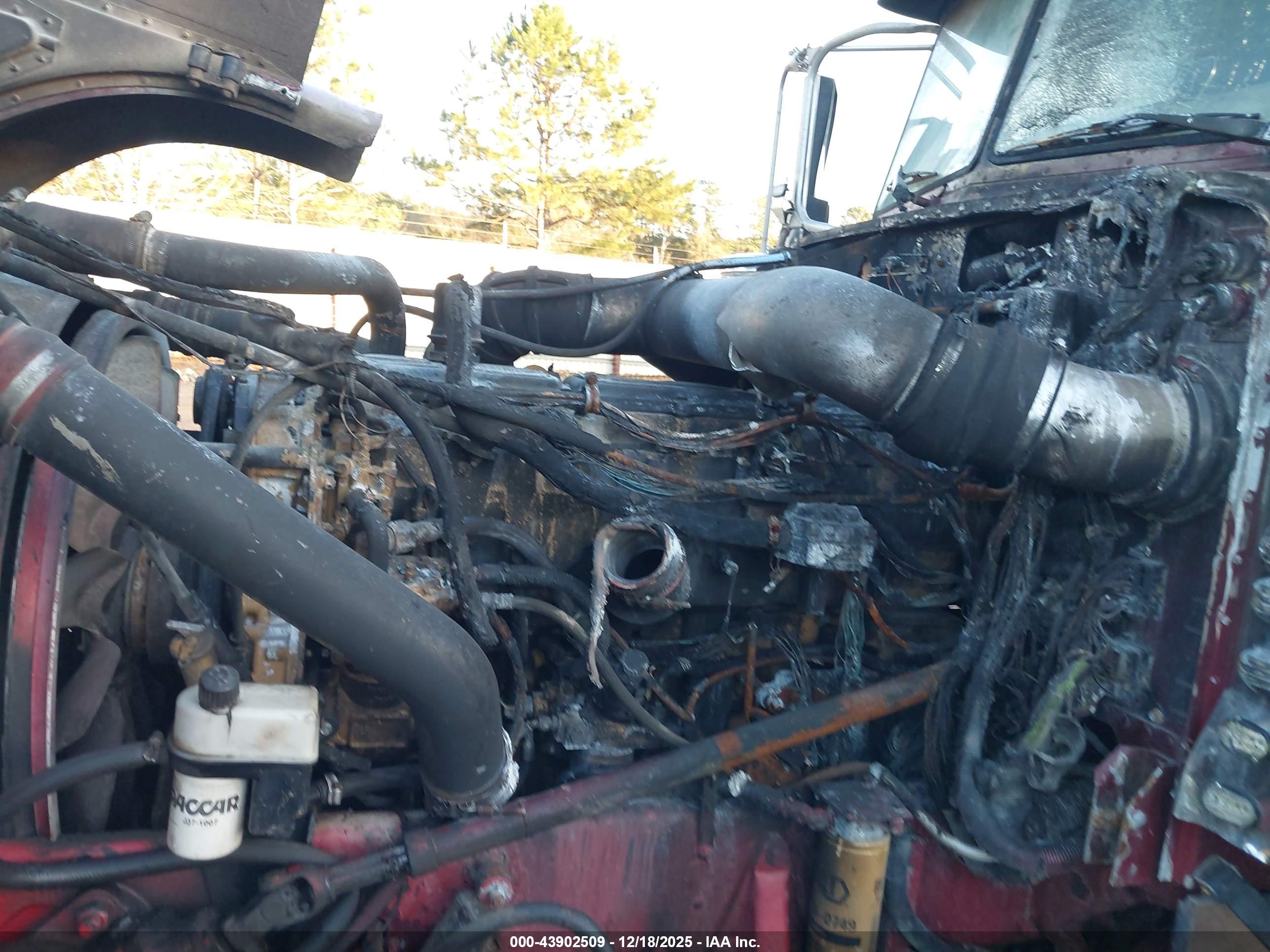 PETERBILT 379 image 10