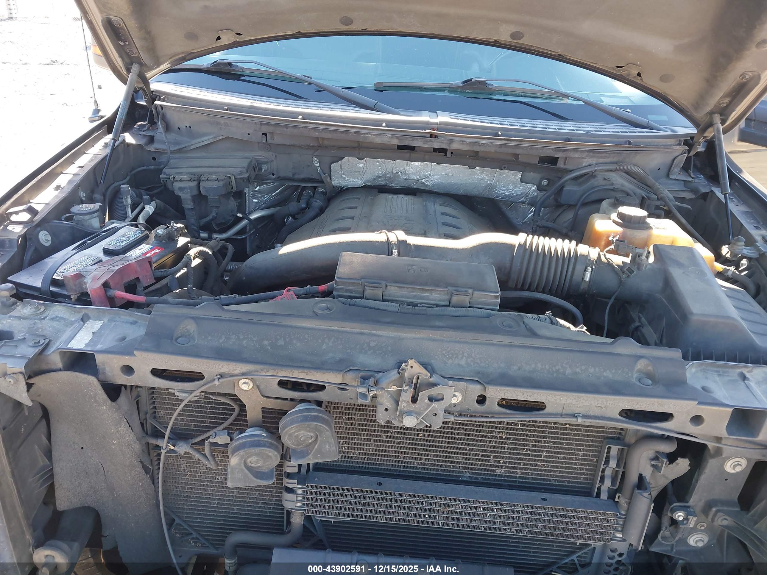 FORD F-150 image 10