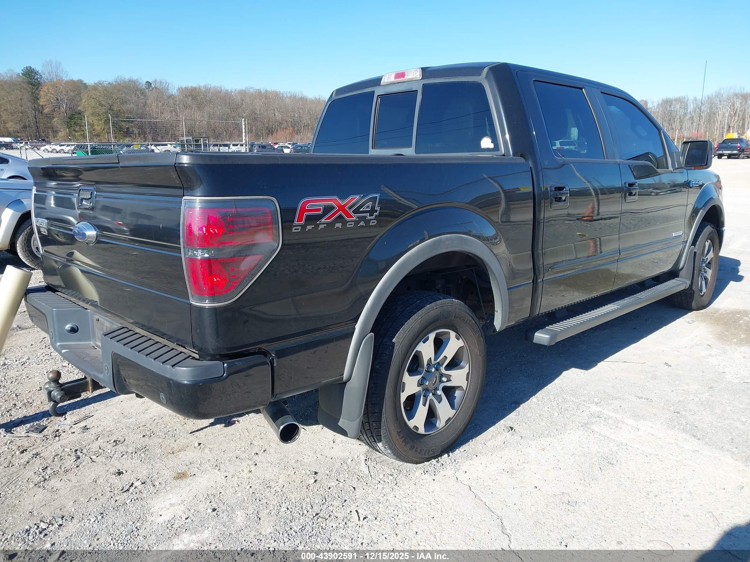 FORD F-150 image 4
