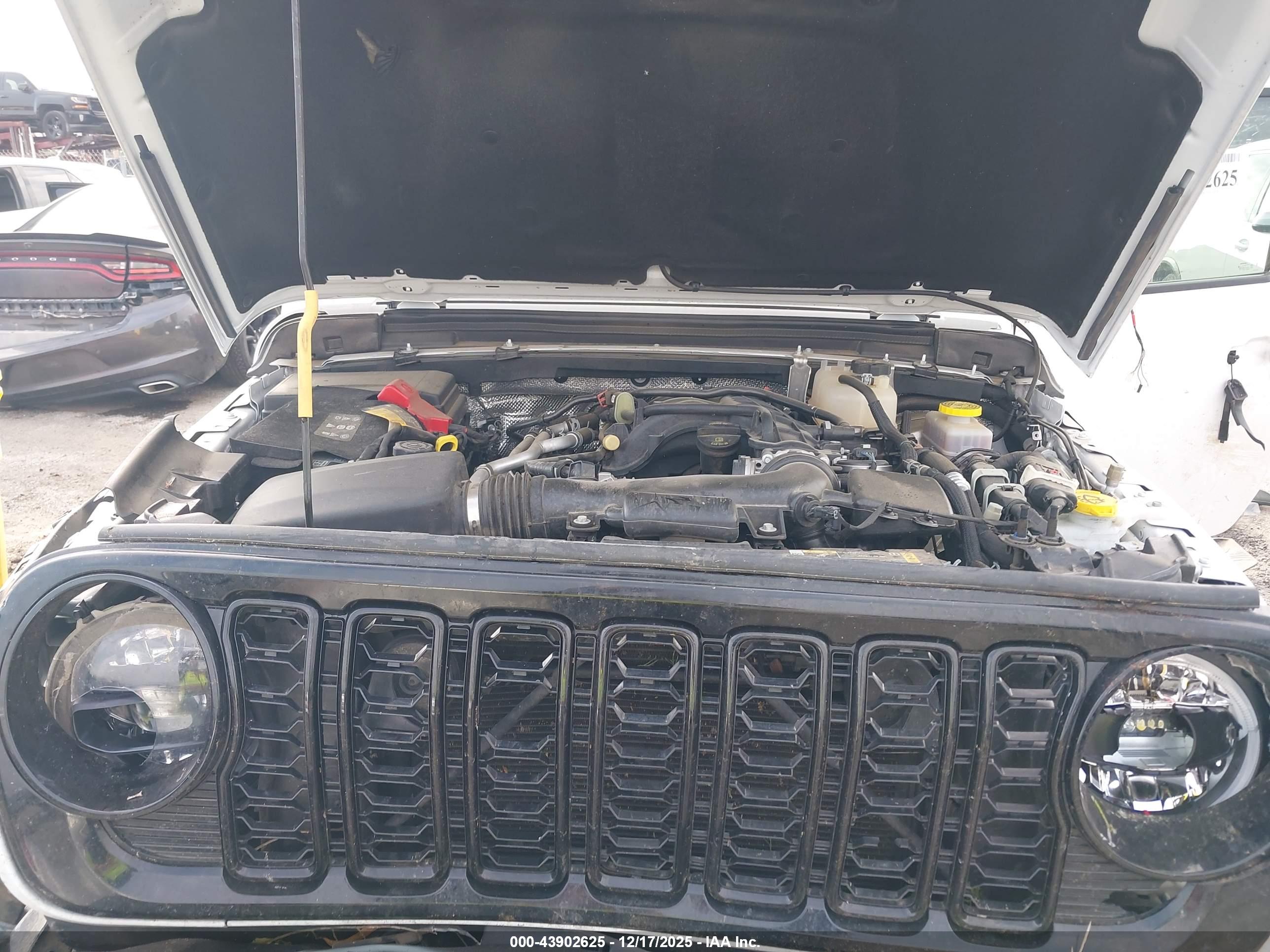 JEEP WRANGLER image 10