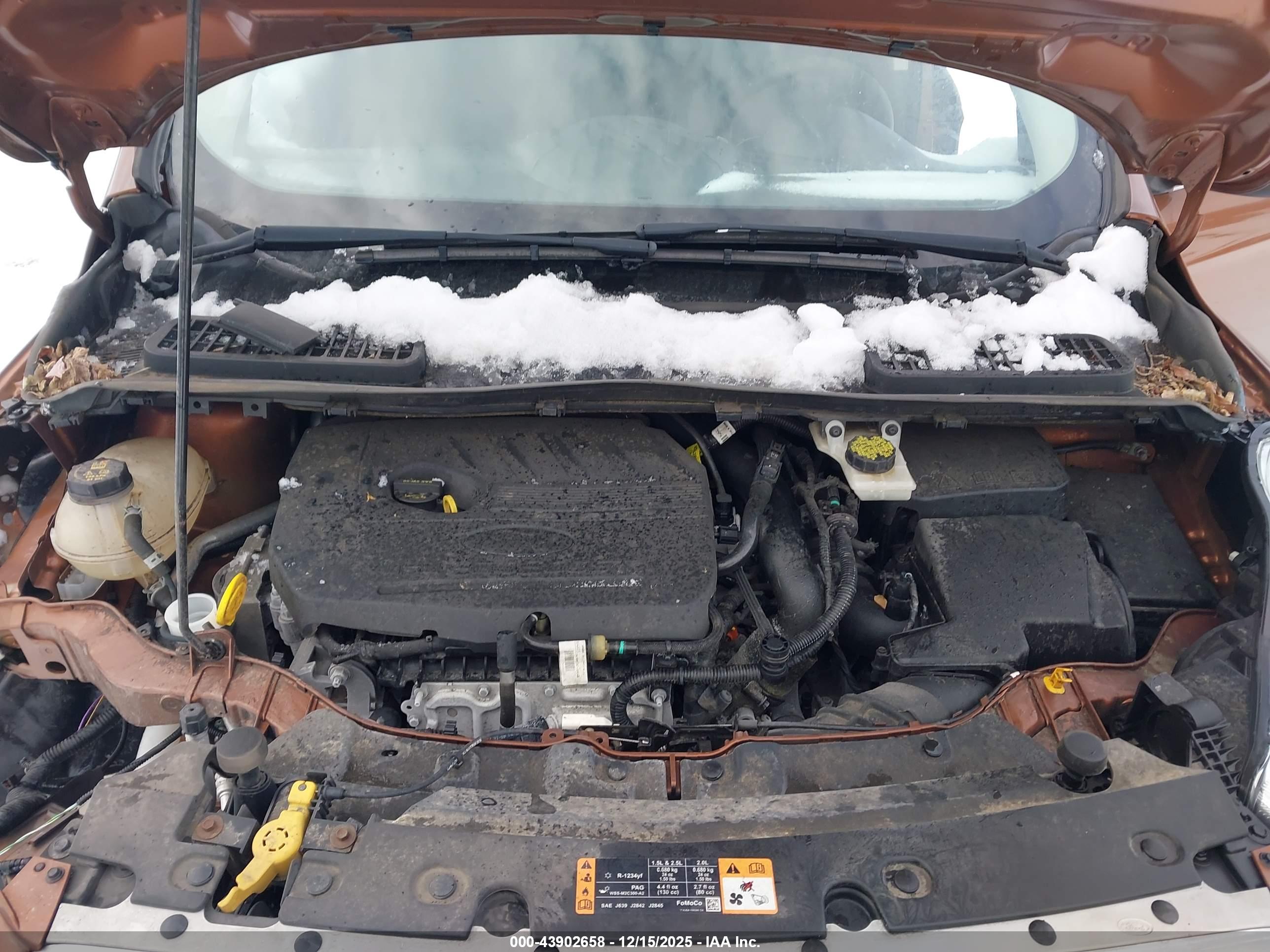 FORD ESCAPE image 10