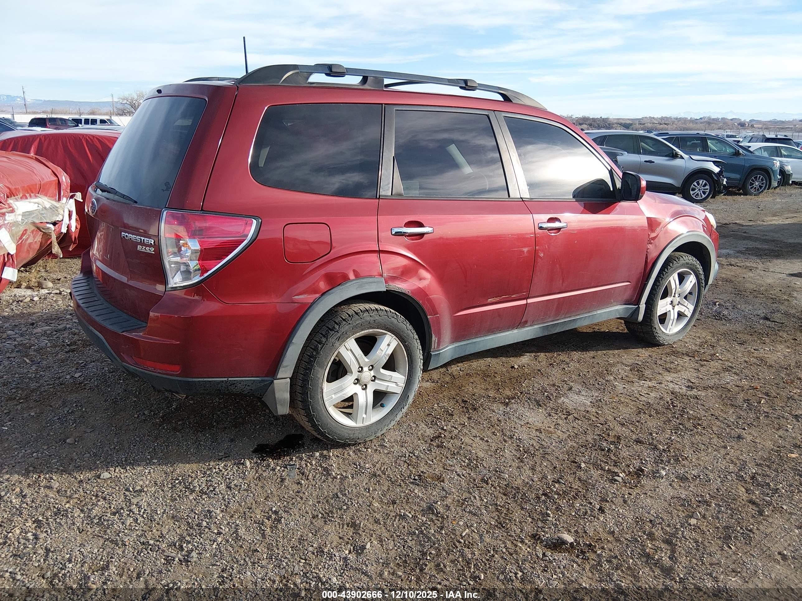SUBARU FORESTER image 4