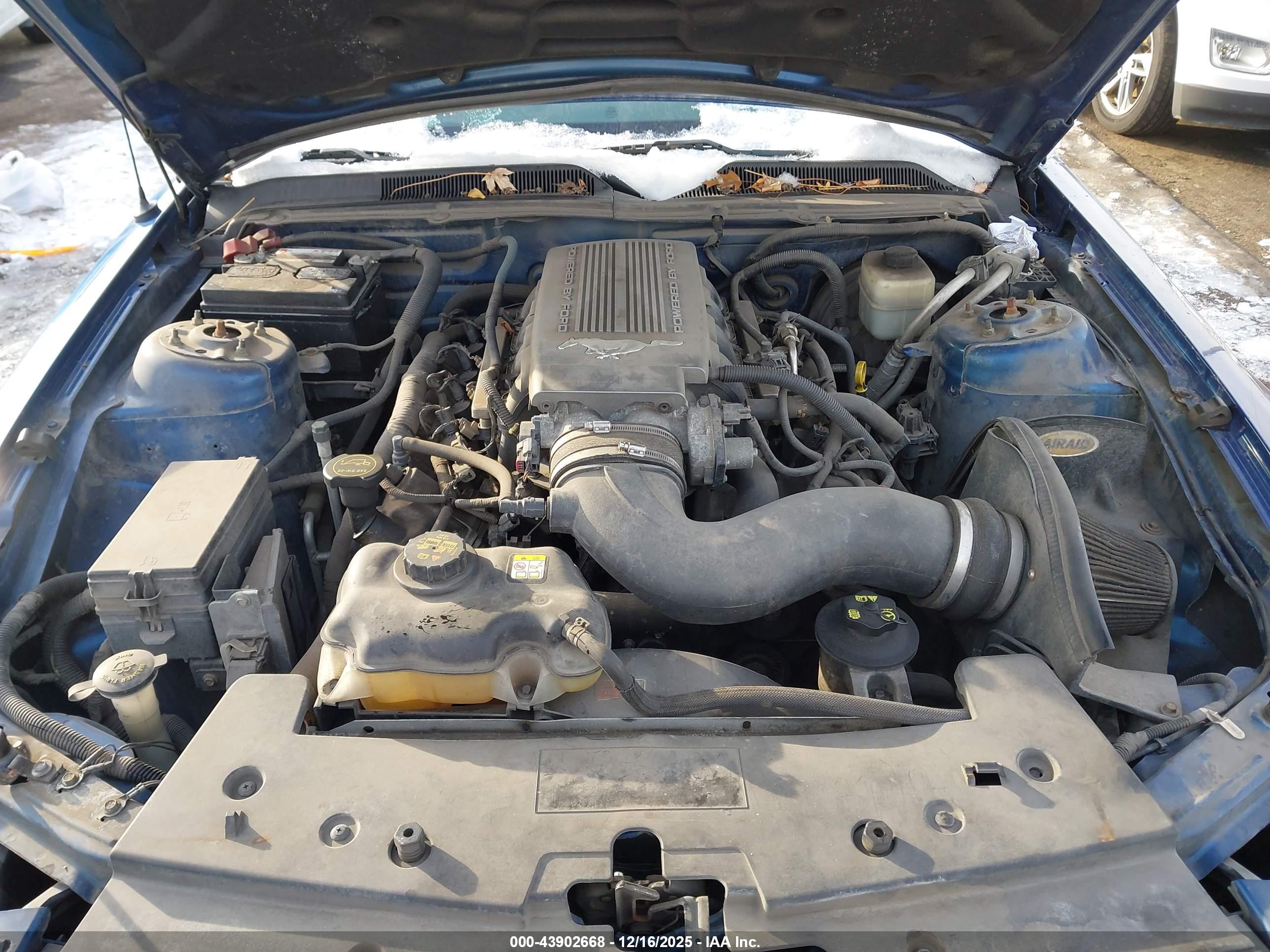 FORD MUSTANG image 10