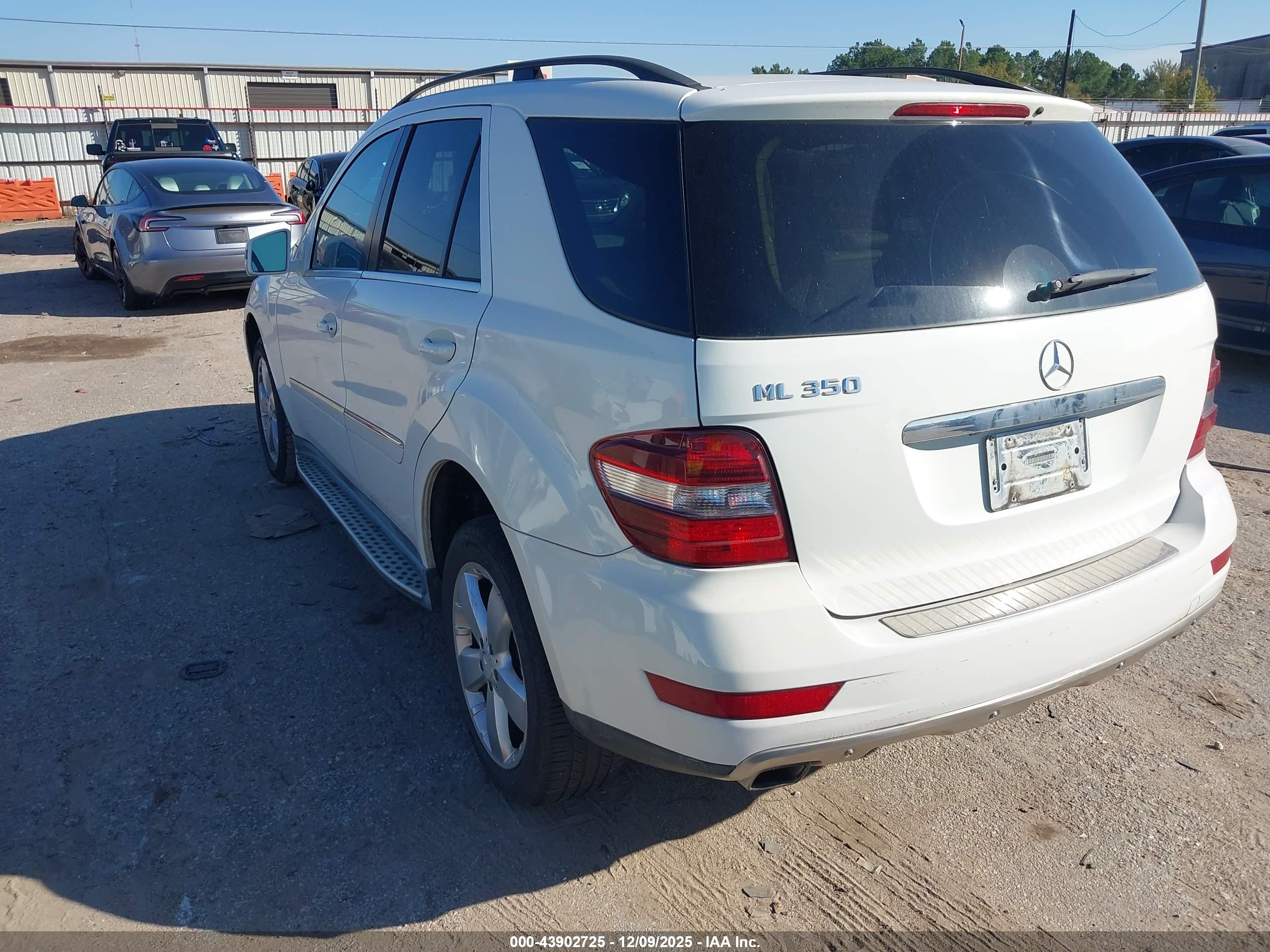 MERCEDES-BENZ ML image 3