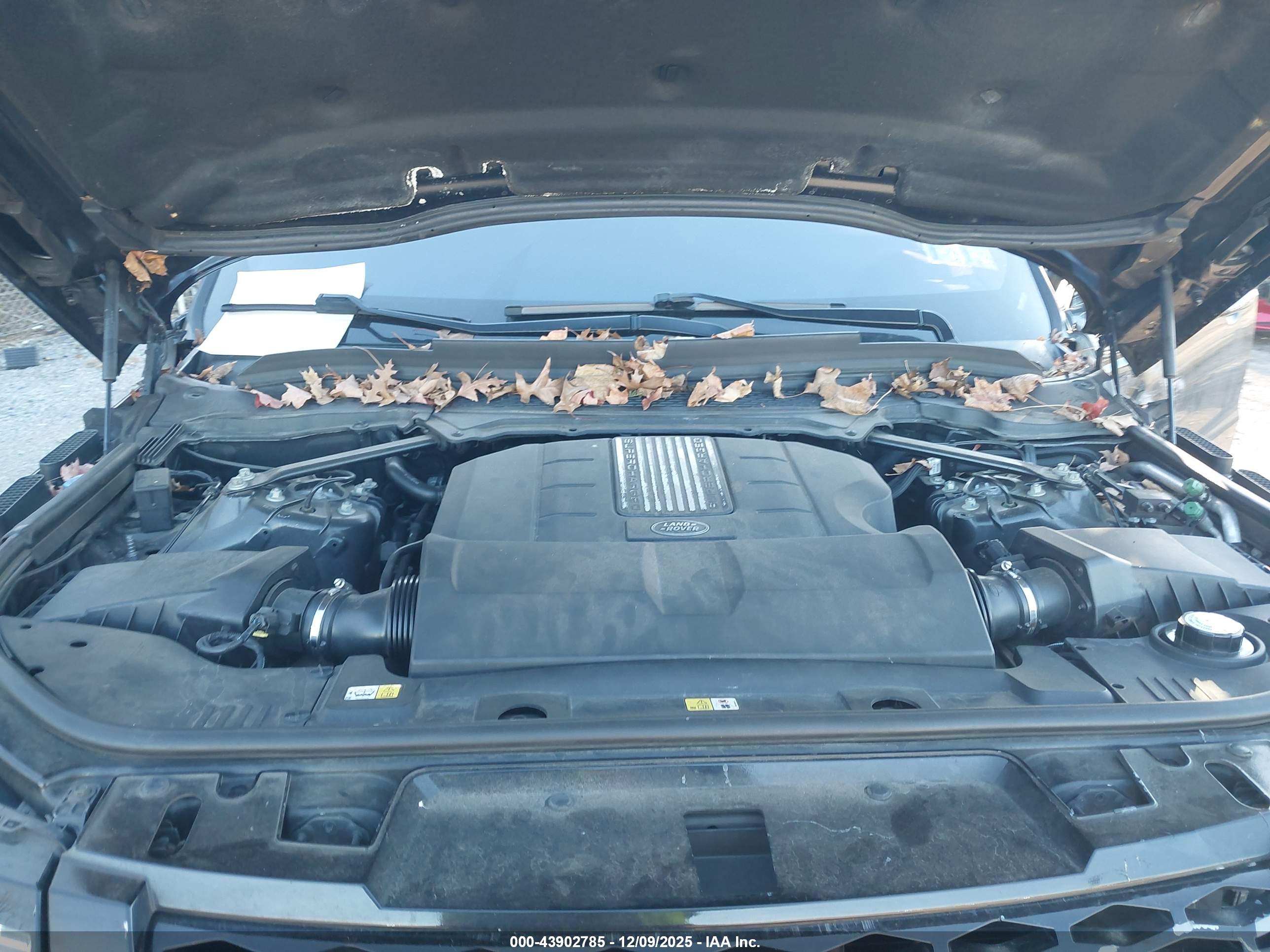LAND ROVER image 10
