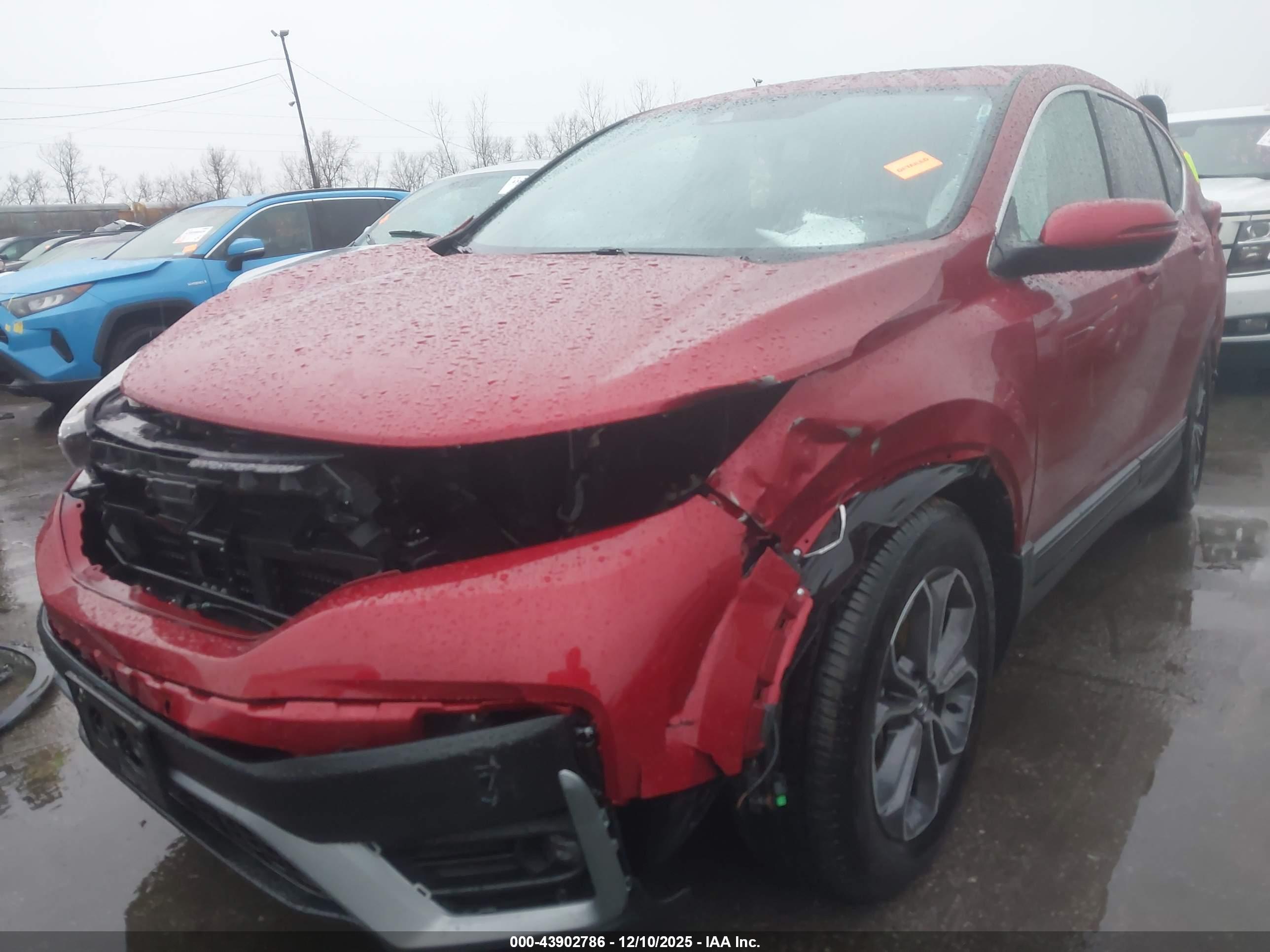 HONDA CR-V image 6
