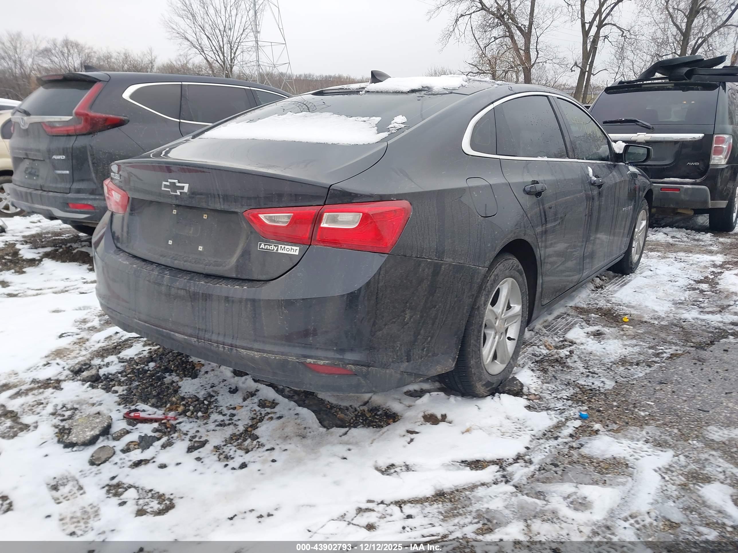 CHEVROLET MALIBU image 4