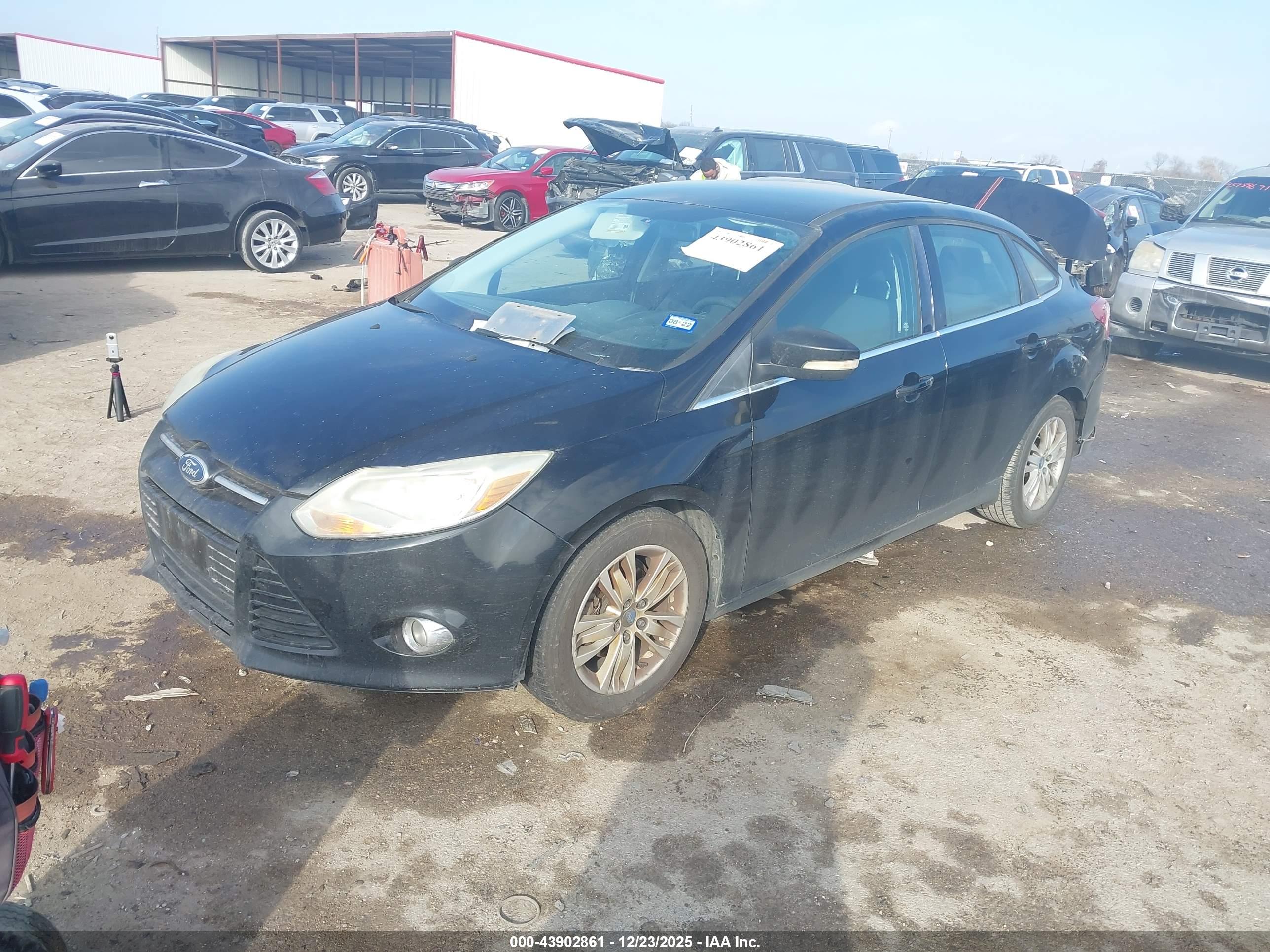 FORD FOCUS image 2