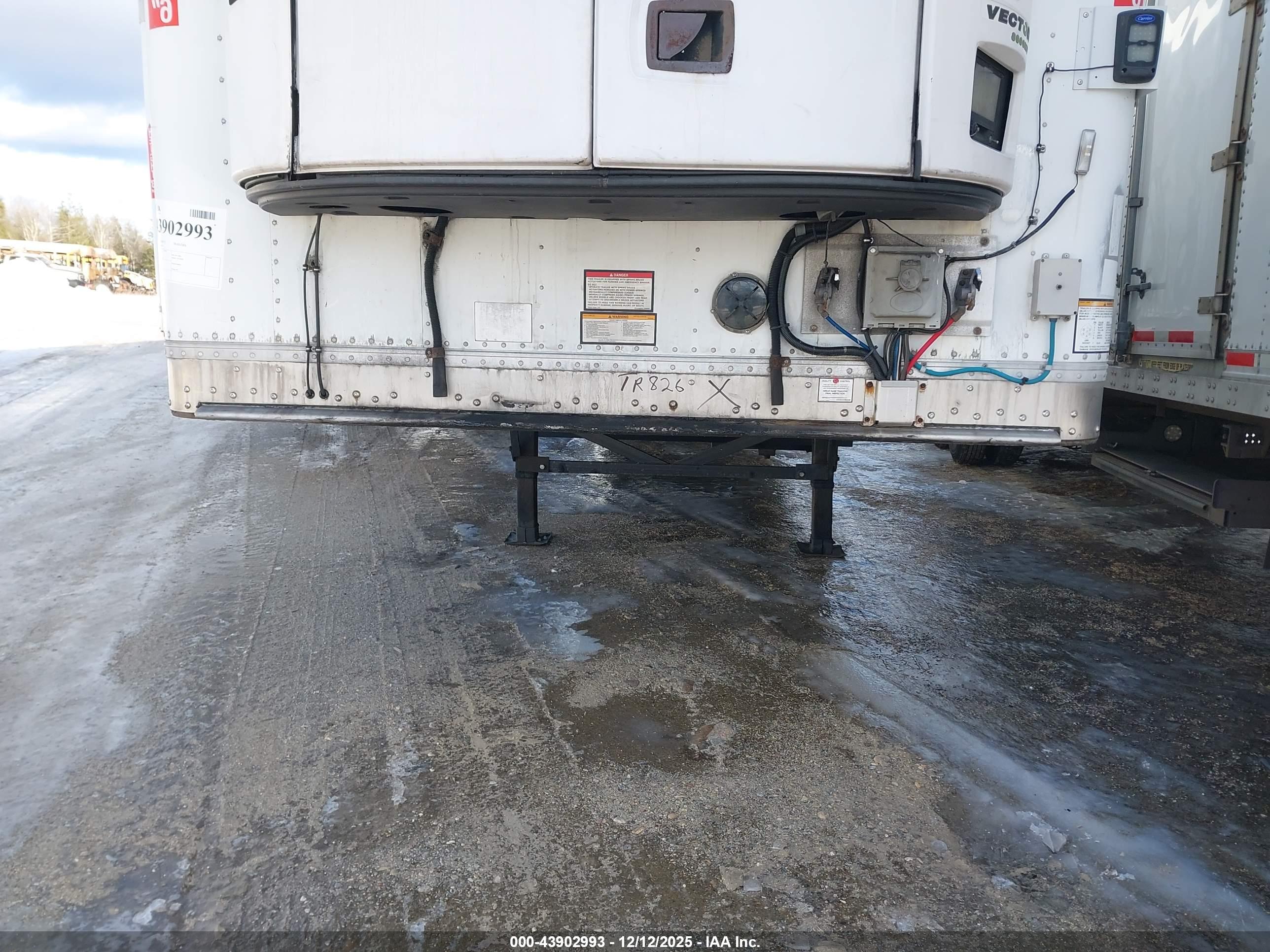 GREAT DANE image 10