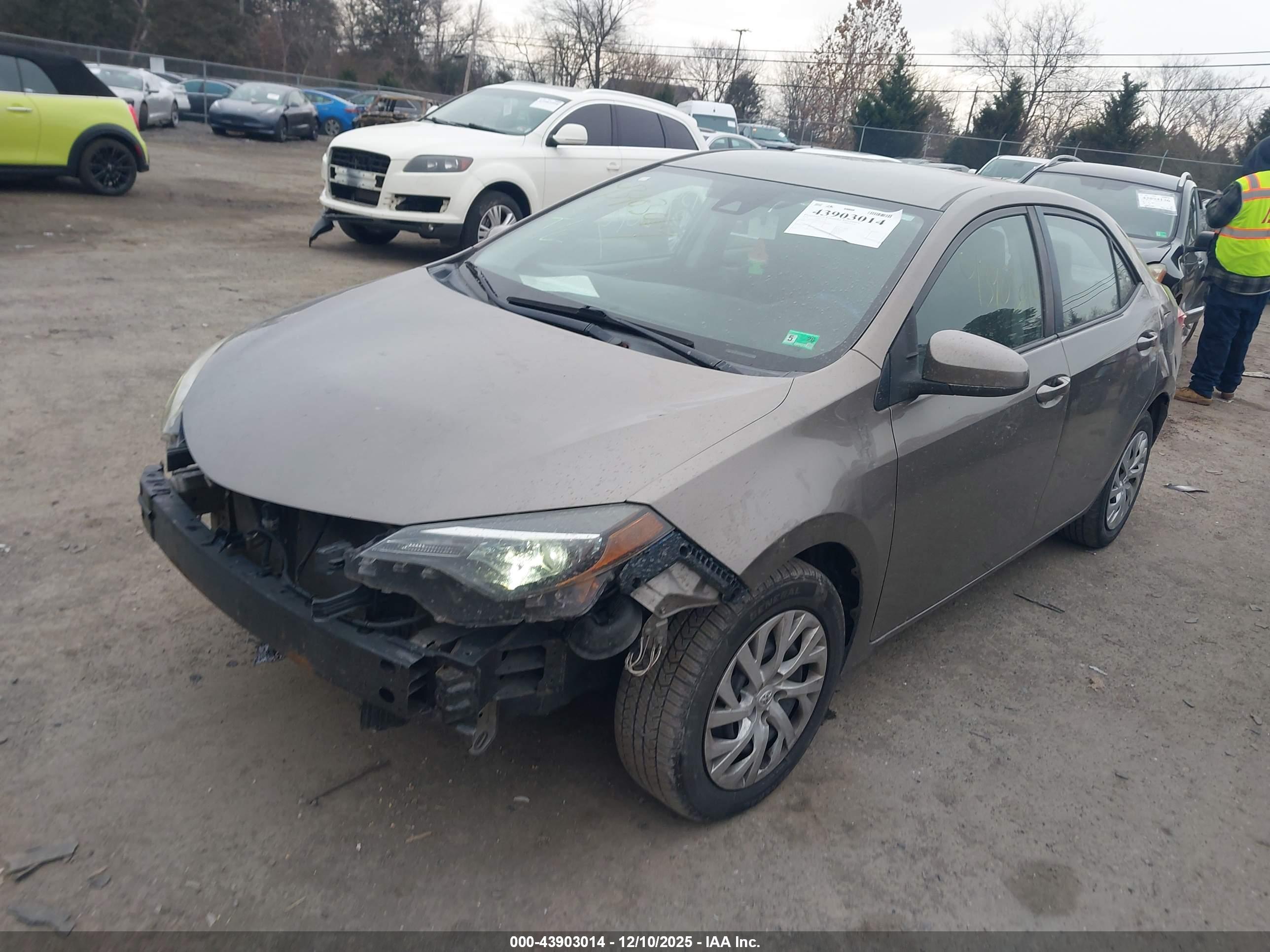 TOYOTA COROLLA image 2