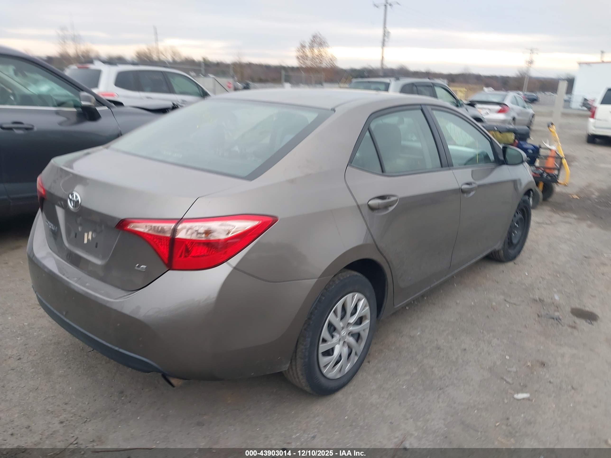 TOYOTA COROLLA image 4
