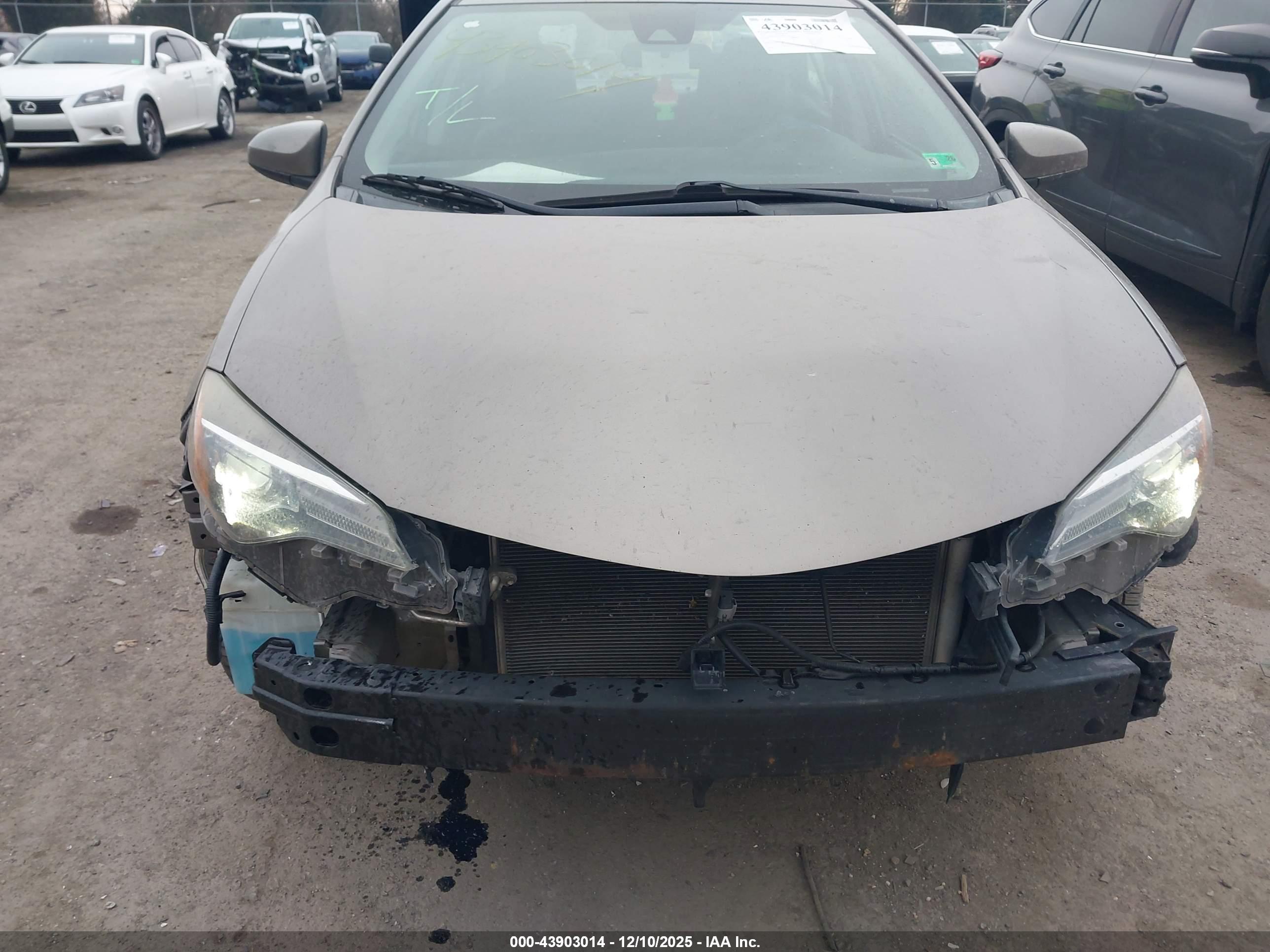TOYOTA COROLLA image 6