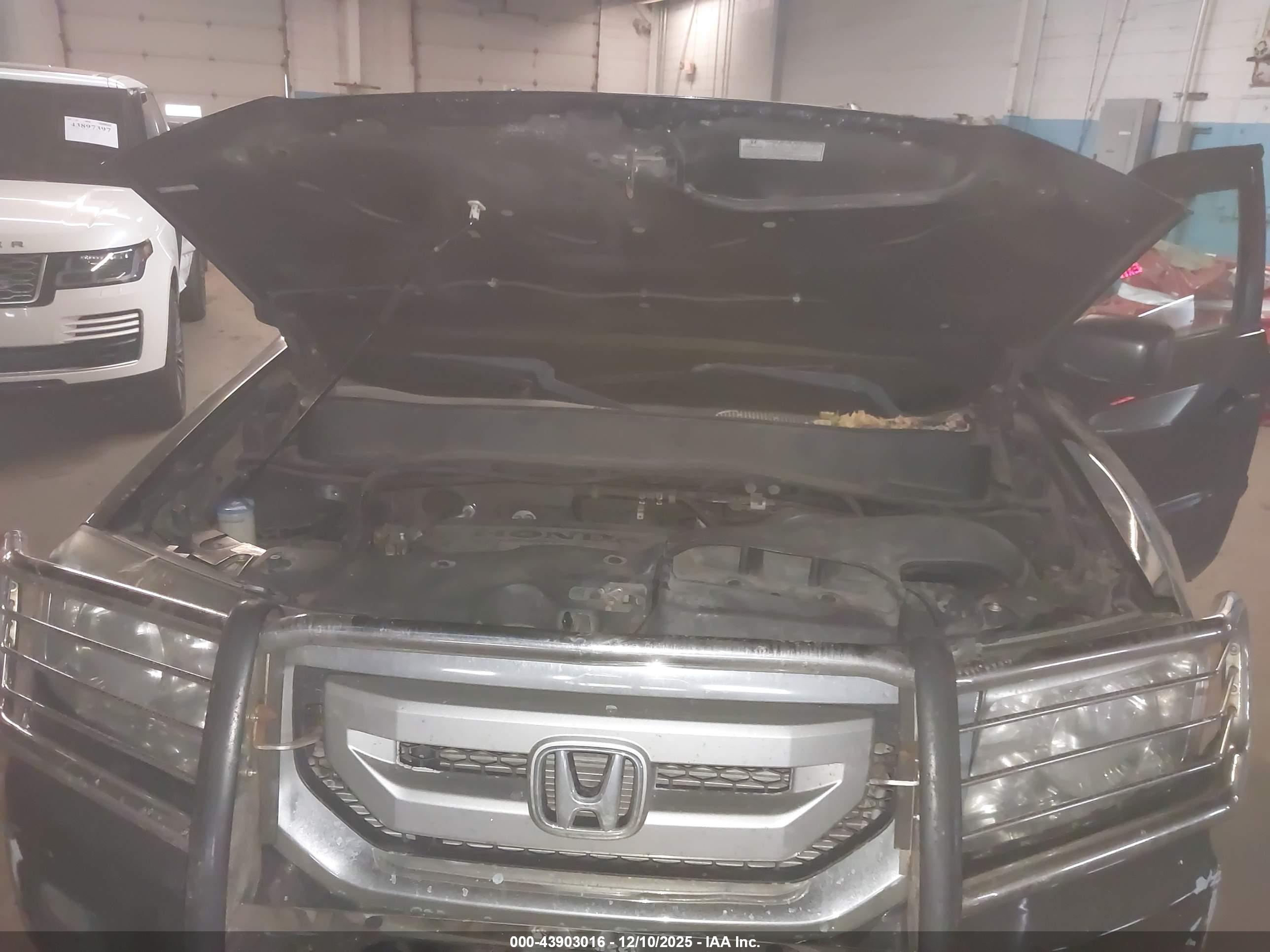 HONDA PILOT image 10