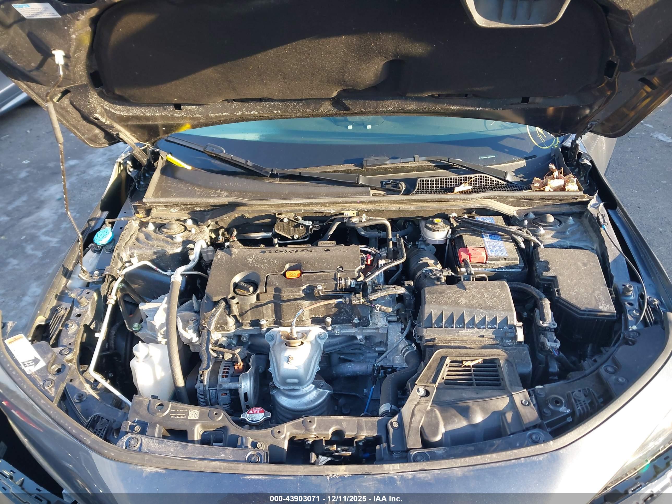 HONDA CIVIC image 10
