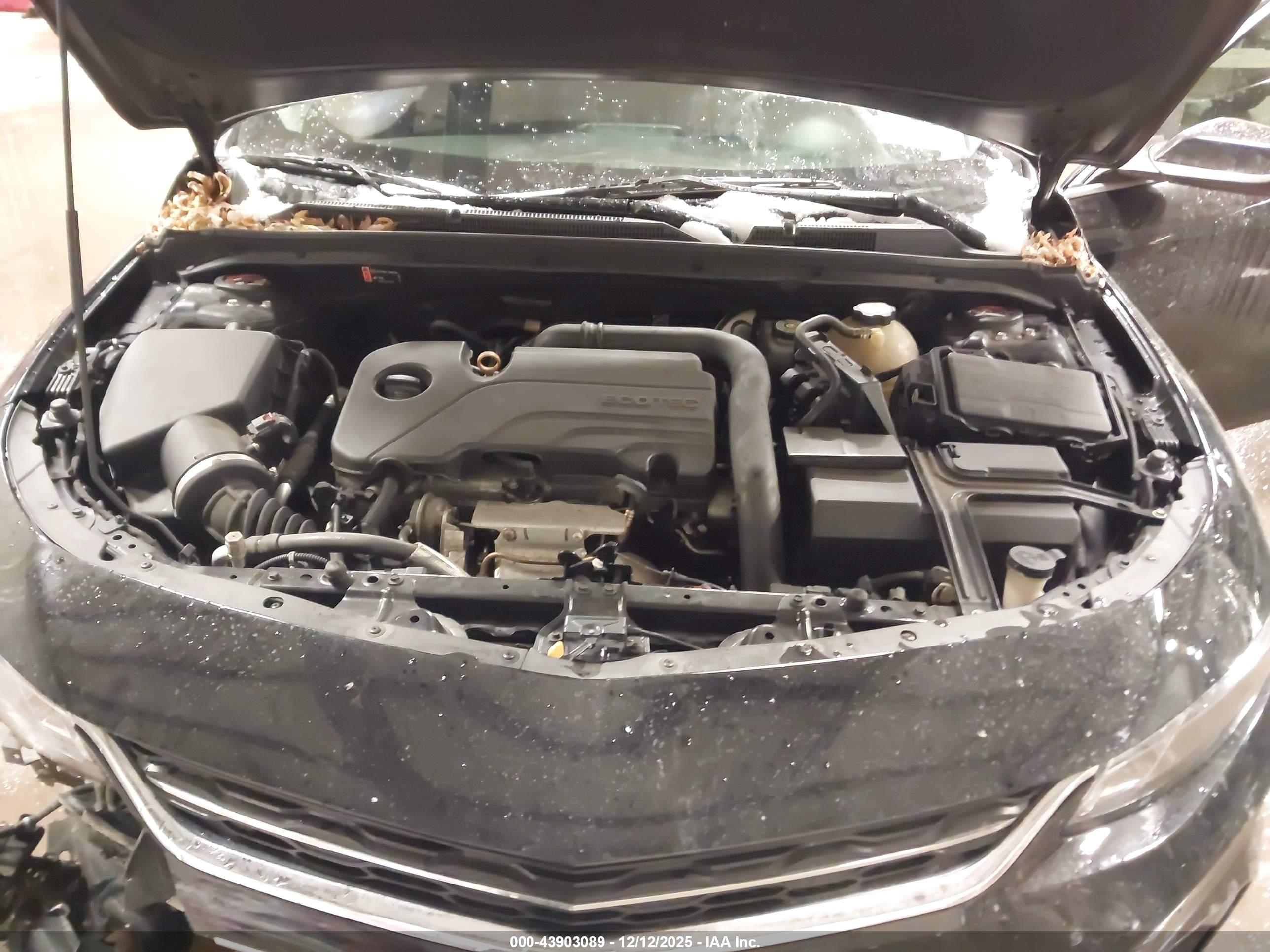 CHEVROLET MALIBU image 10
