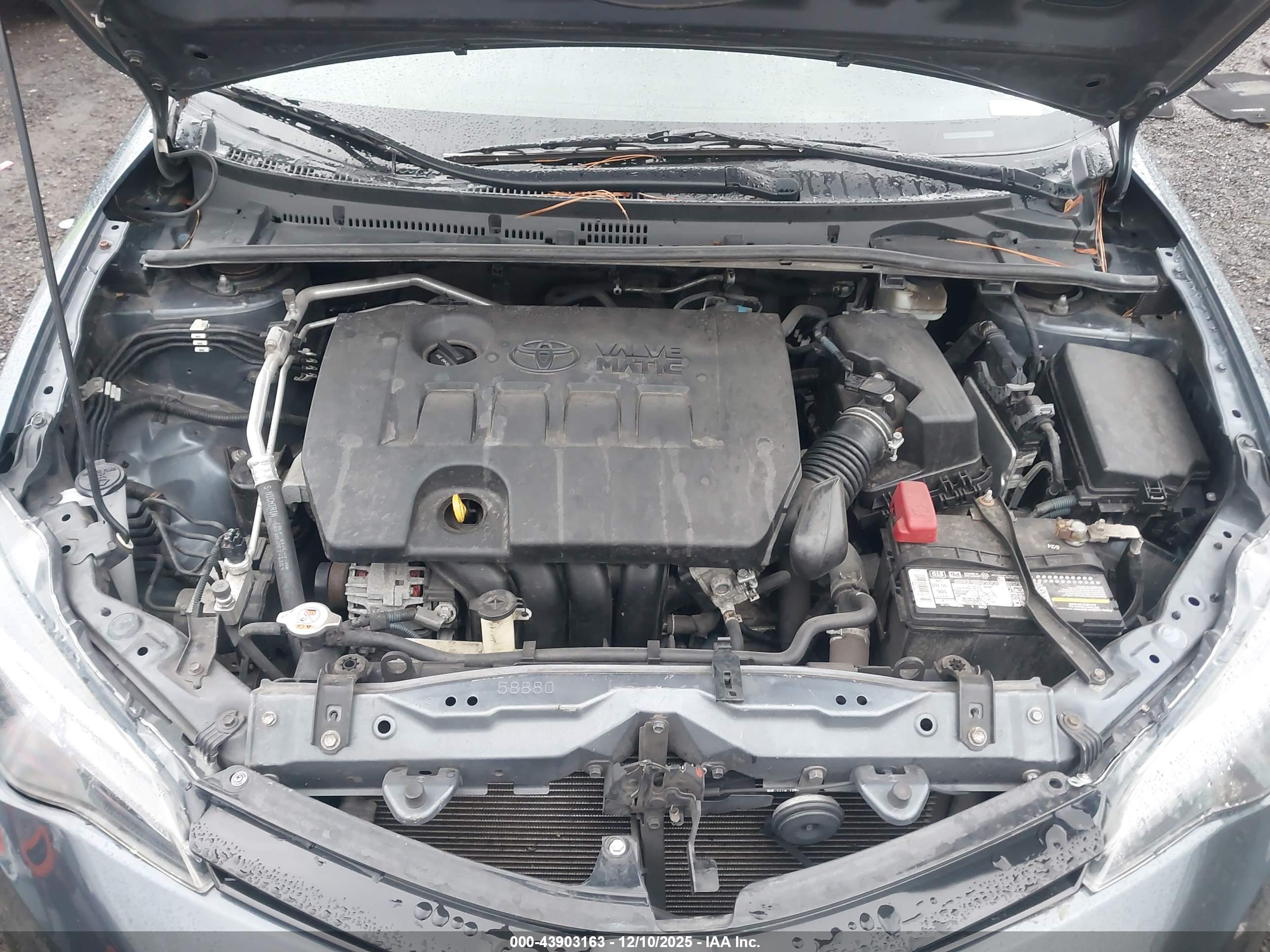 TOYOTA COROLLA image 10