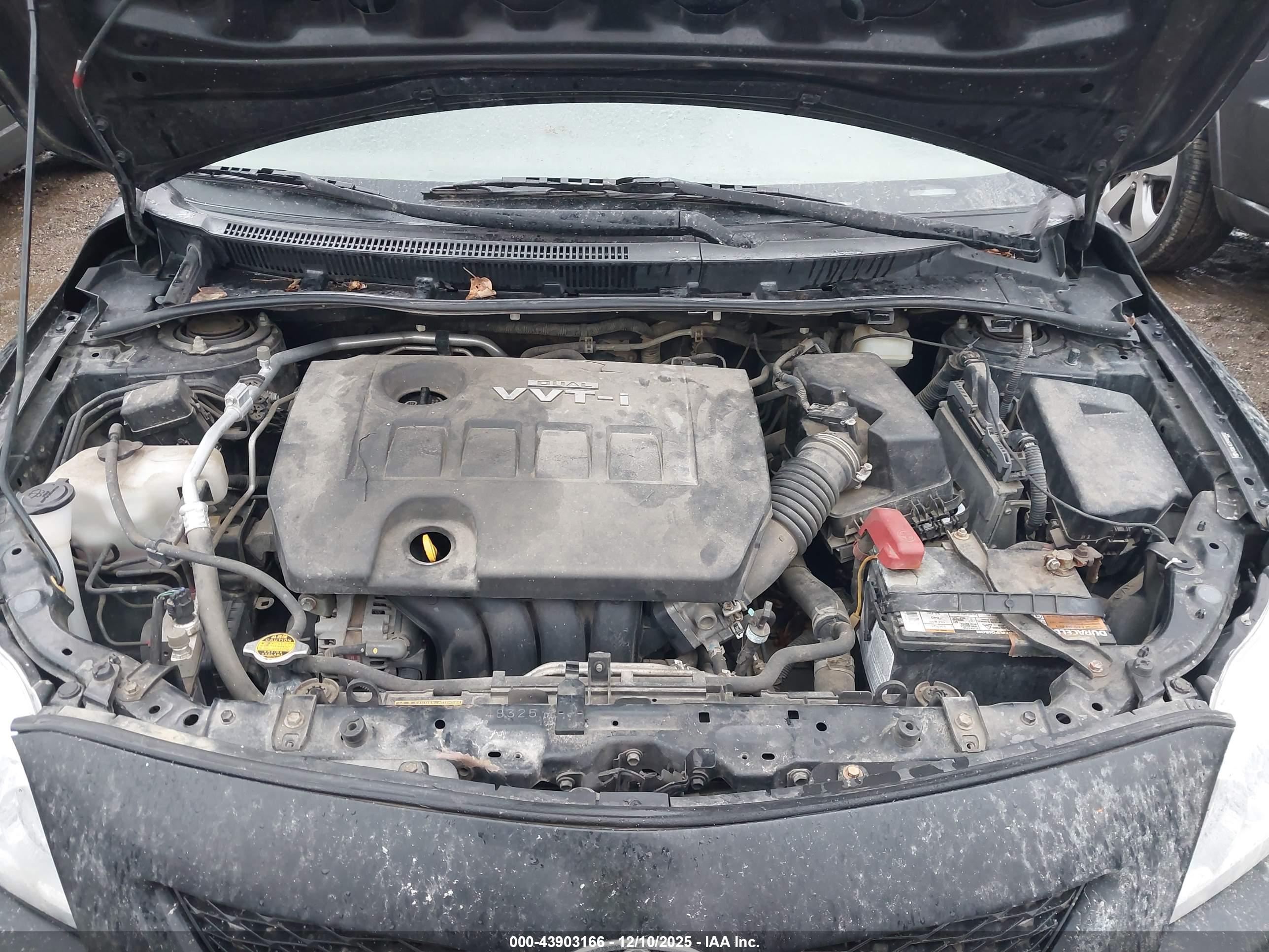 TOYOTA COROLLA image 10