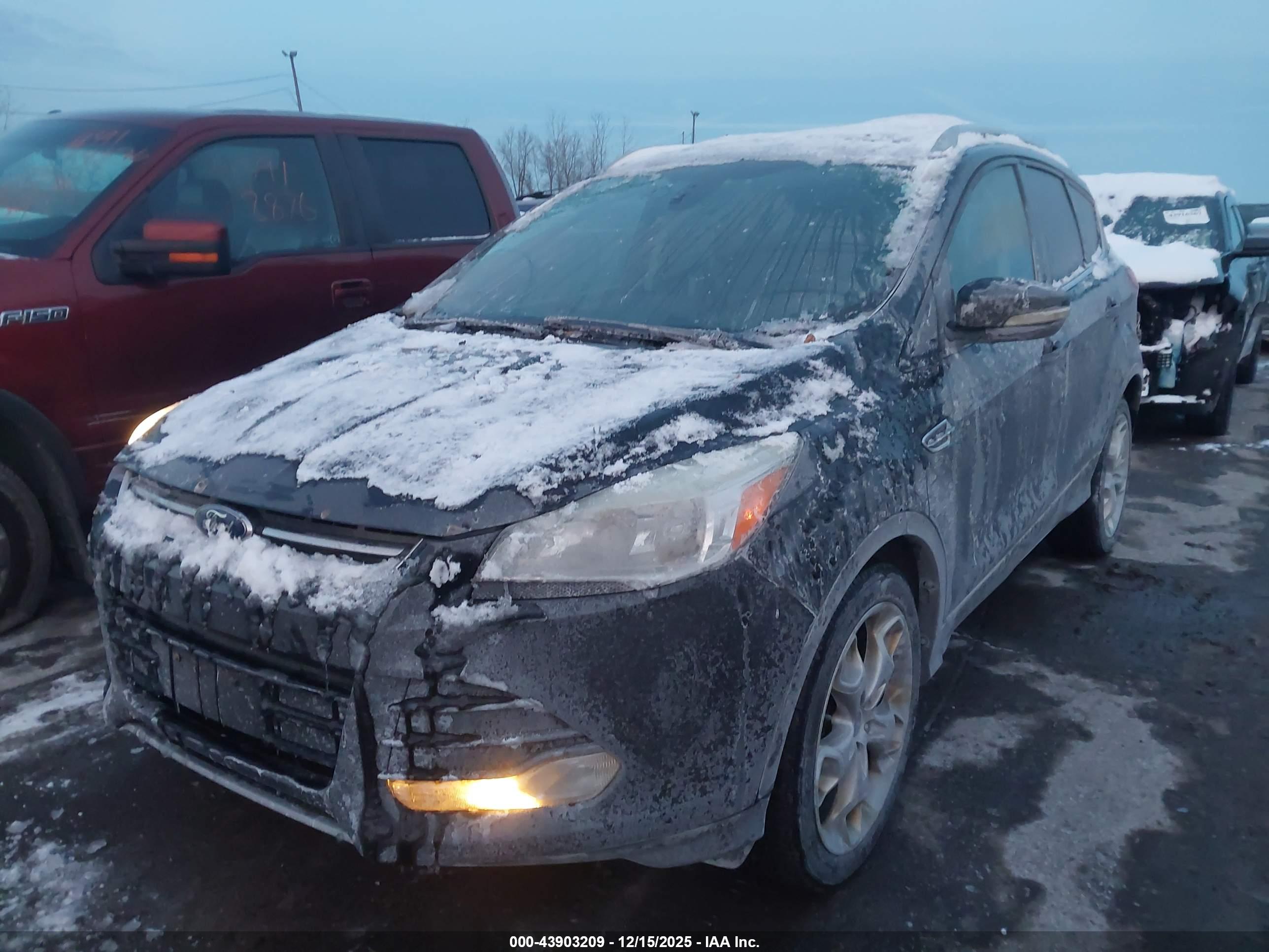 FORD ESCAPE image 2