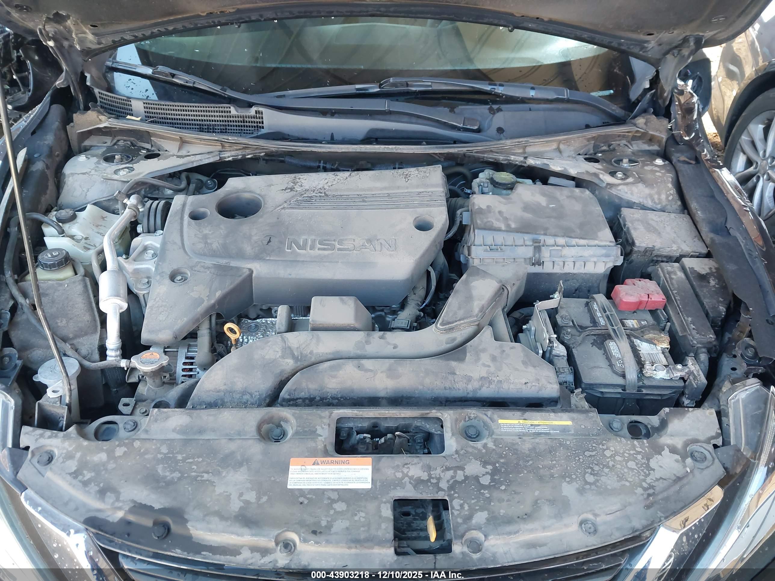 NISSAN ALTIMA image 10