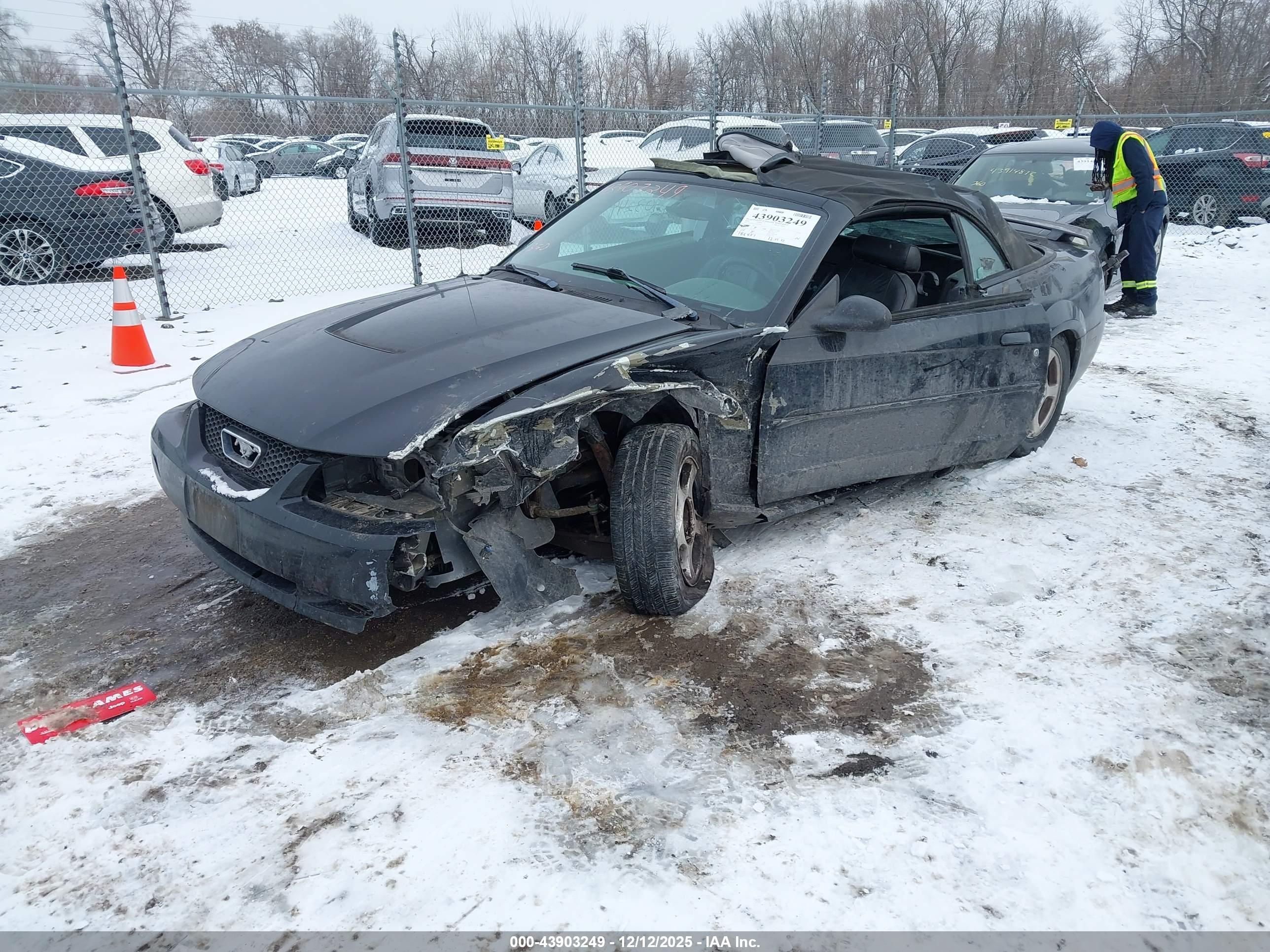 FORD MUSTANG image 2