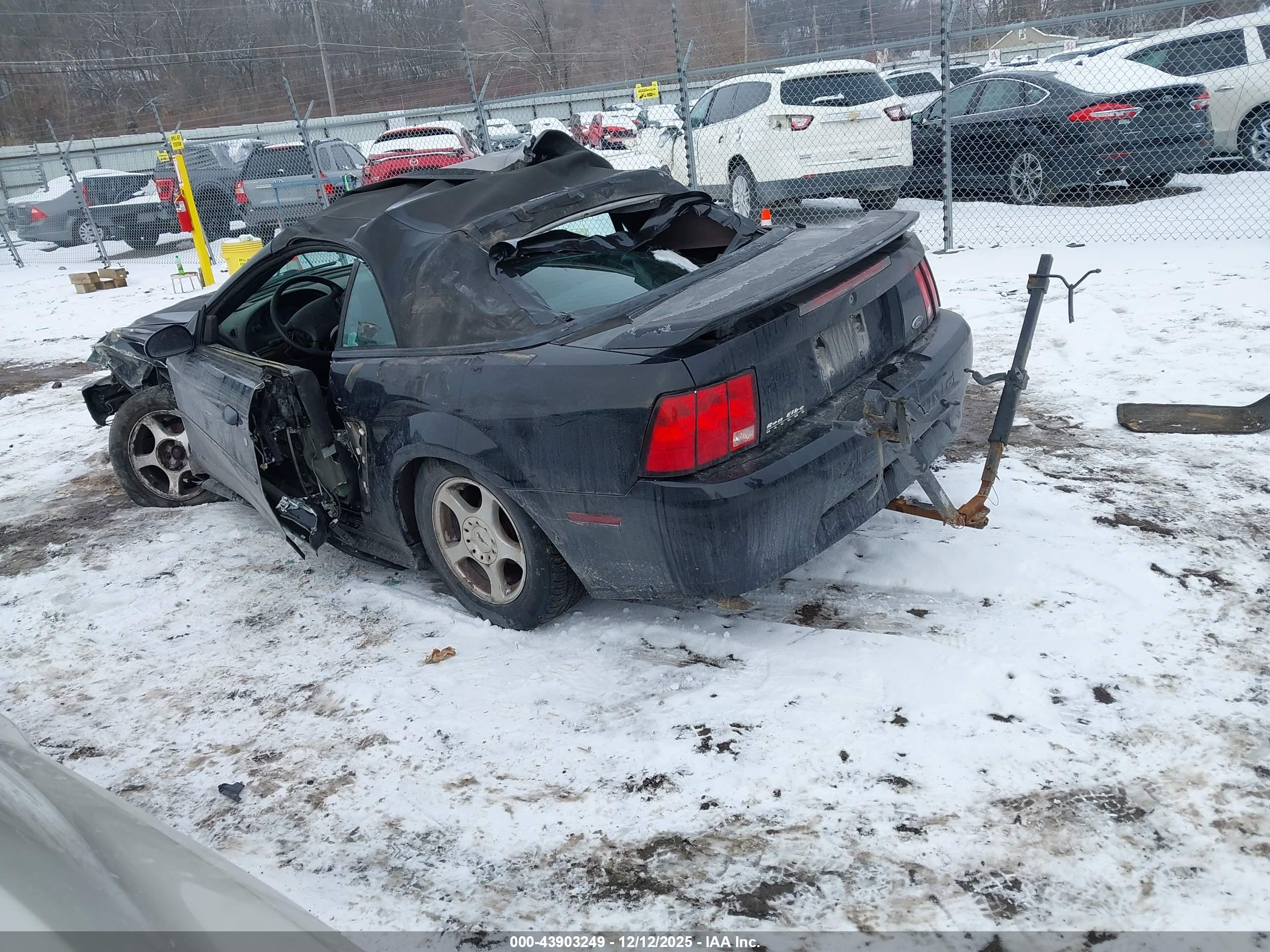 FORD MUSTANG image 3